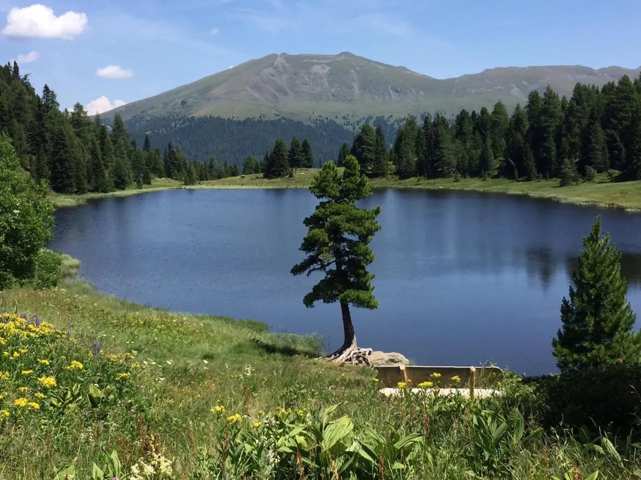 Natural landscape in Apparthotel SILBERSEE