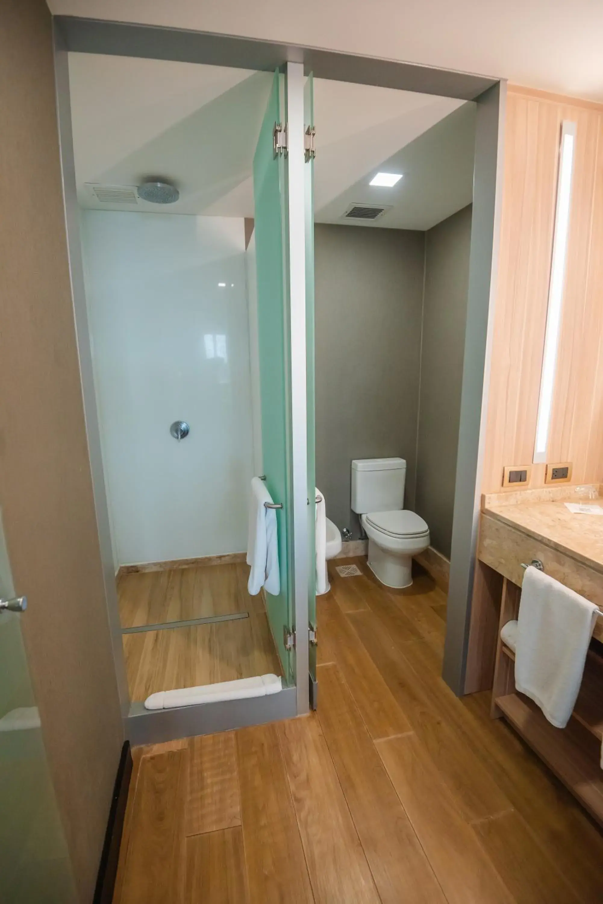 Superior Double Room in Savoy Hotel Encarnación Superior Double Room in Savoy Hotel Encarnación