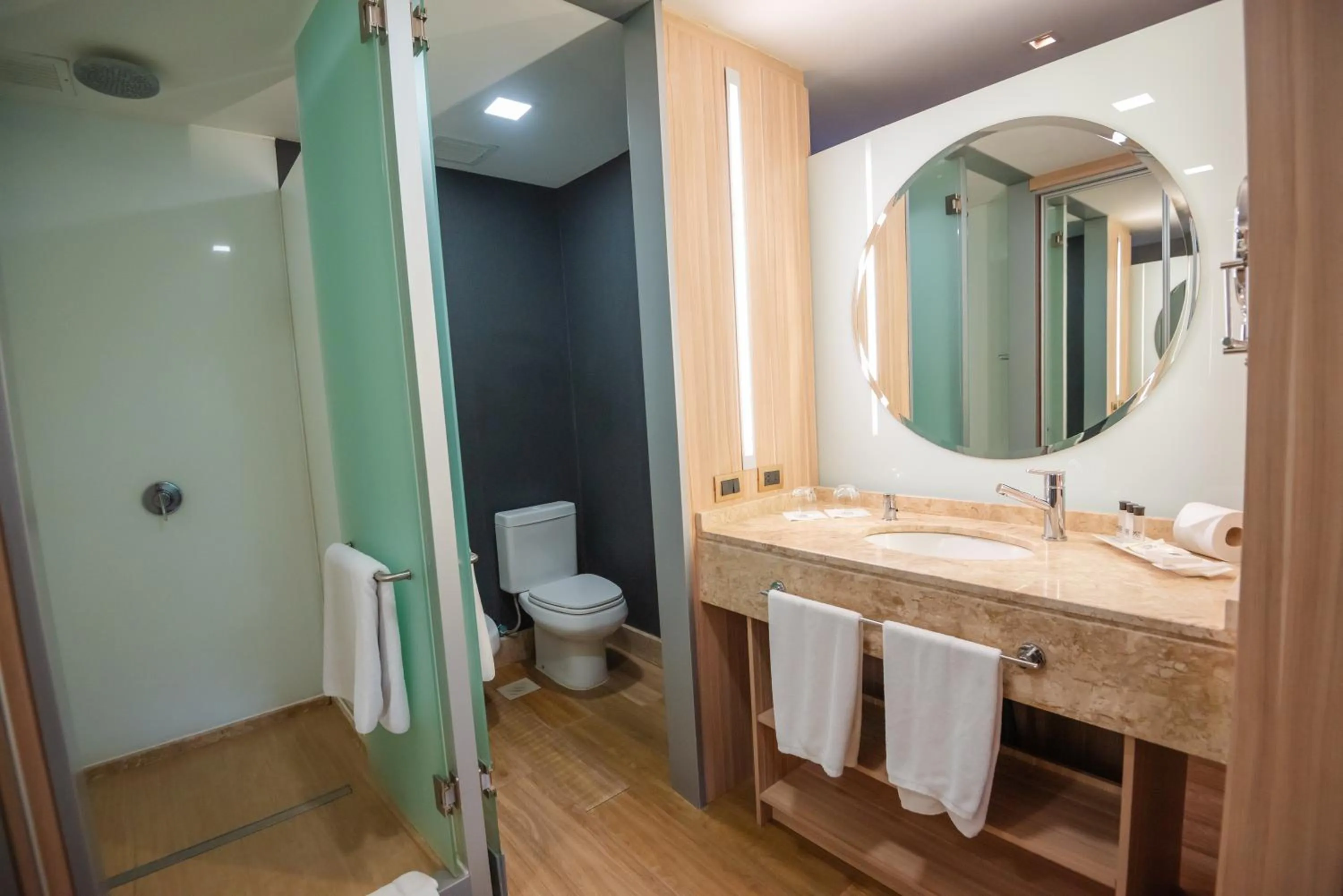 Savoy Hotel Encarnación