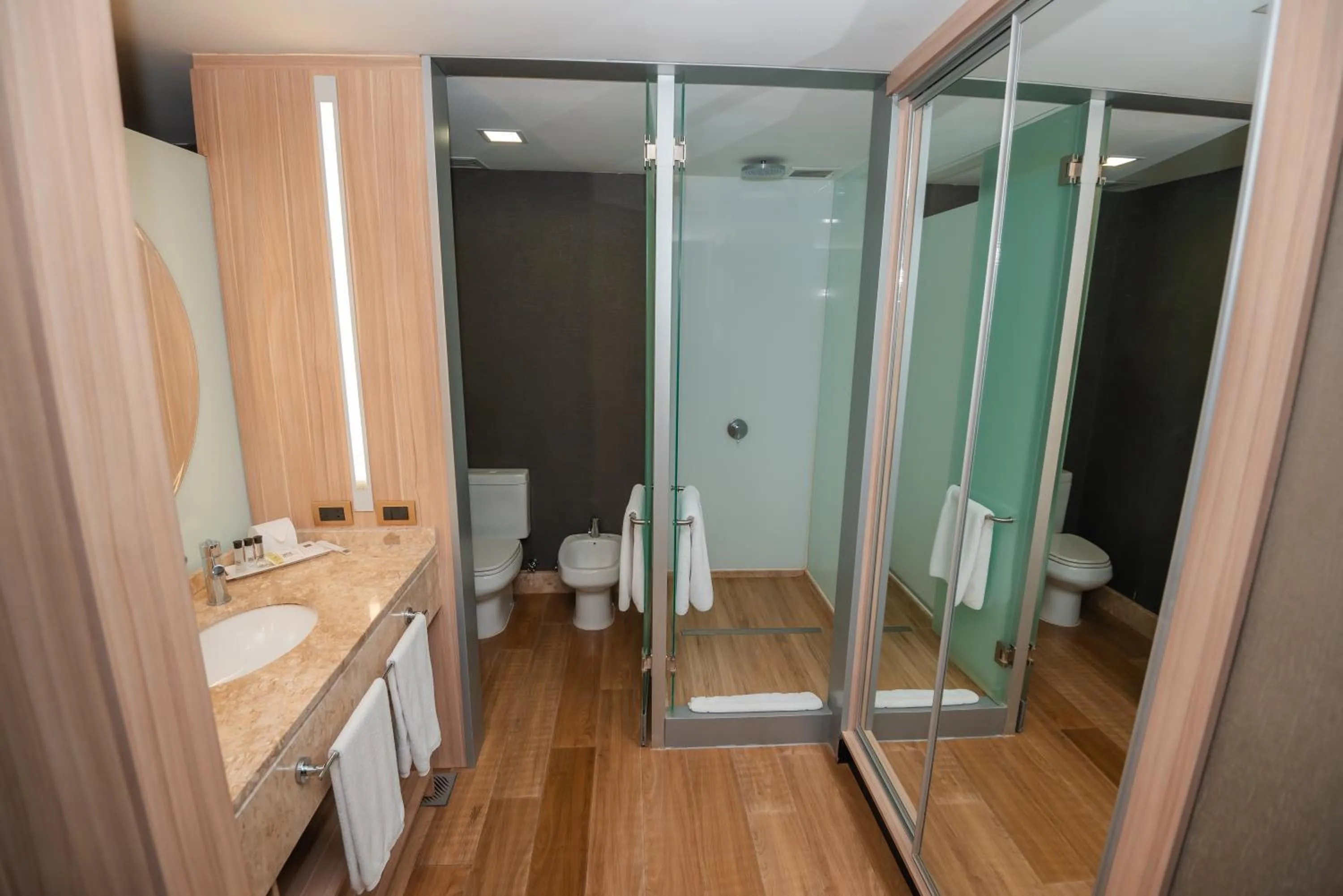 Savoy Hotel Encarnación