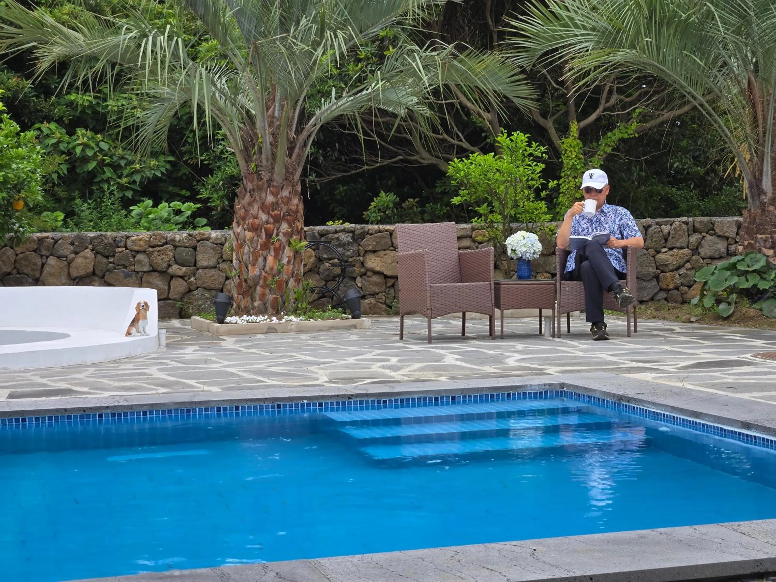 Swimming pool in Coogee Holiday