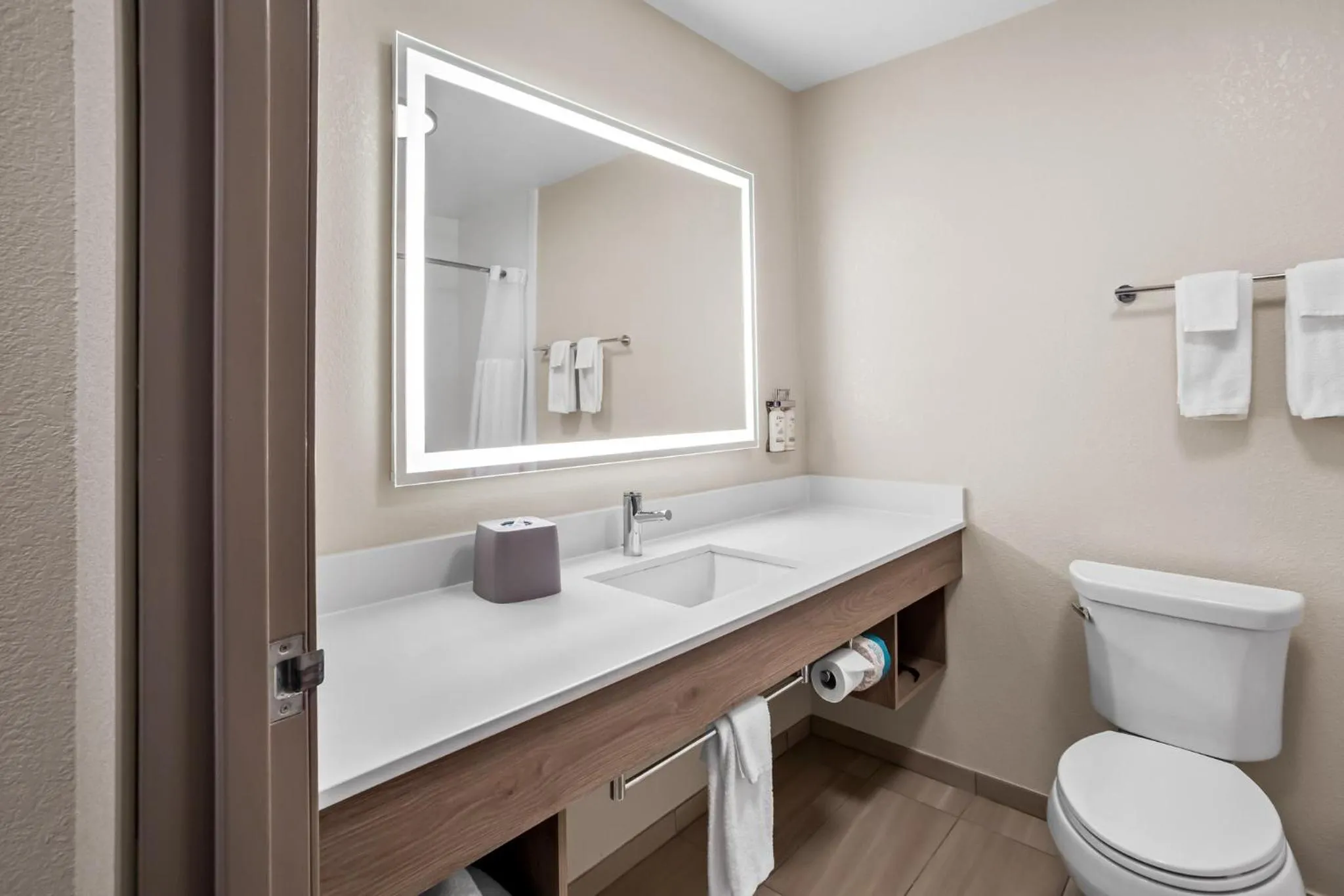 Bathroom in Holiday Inn Express & Suites Tumwater - Olympia by IHG