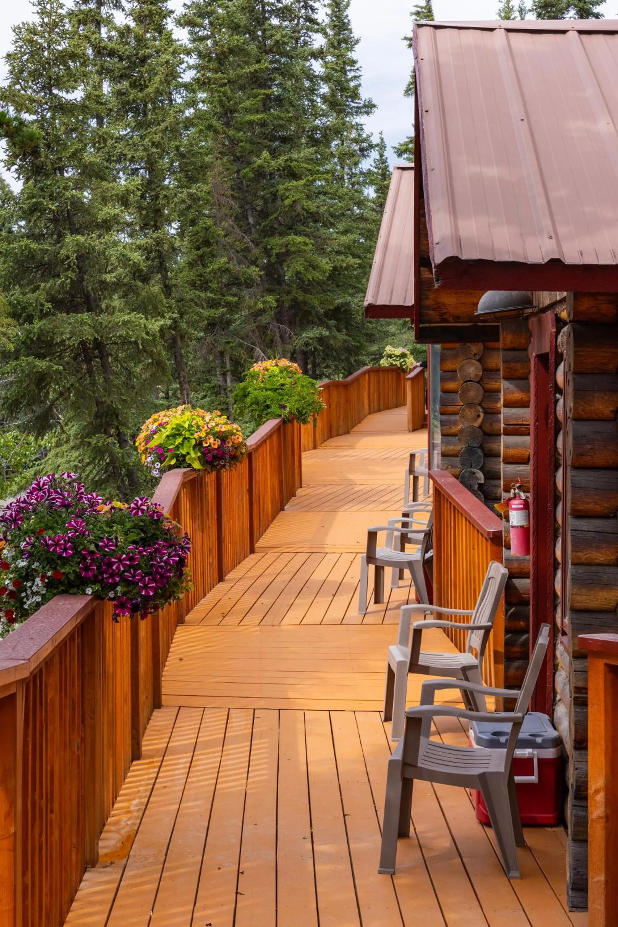 Spring in Denali Crow's Nest Cabins