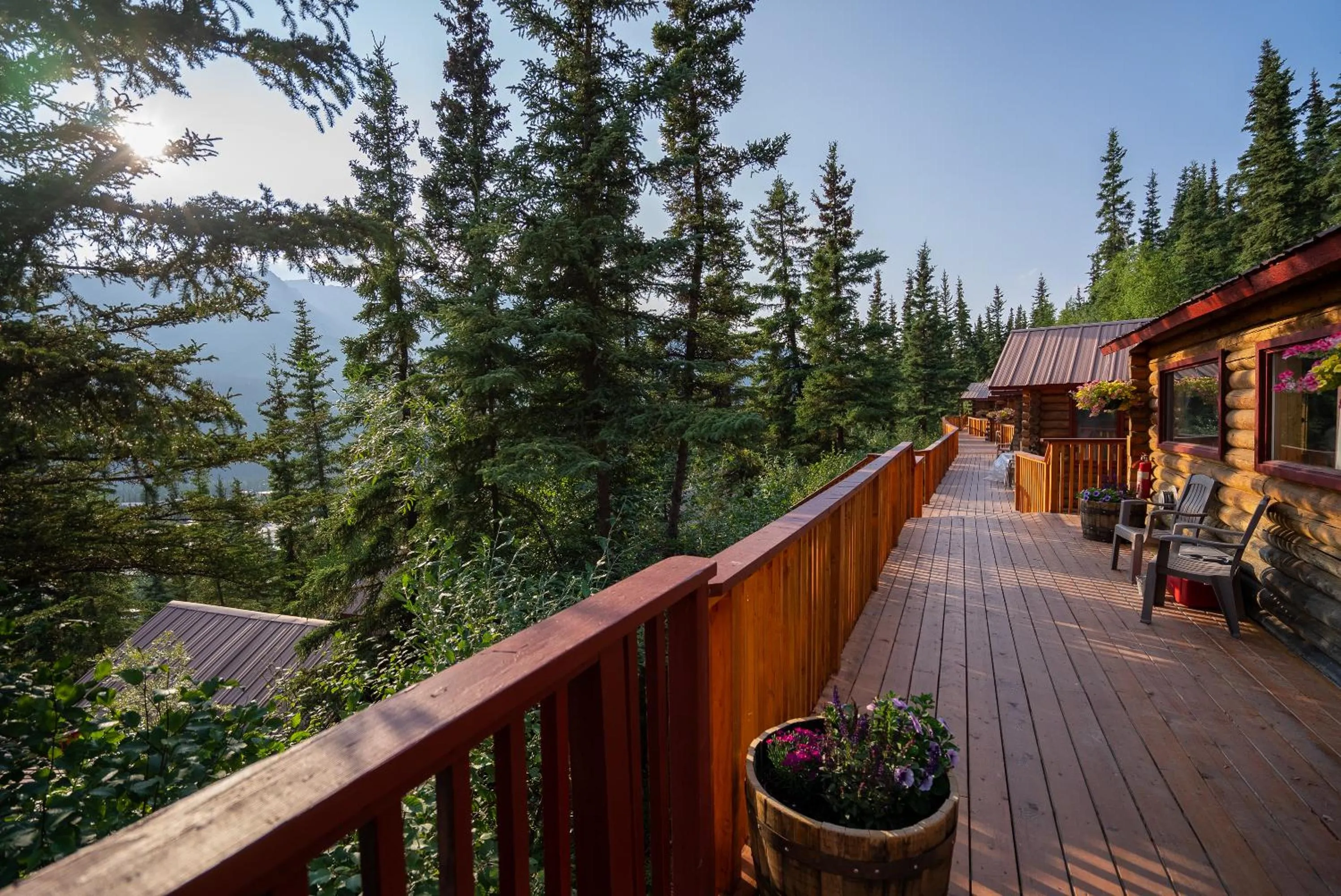 Mountain view in Denali Crow's Nest Cabins