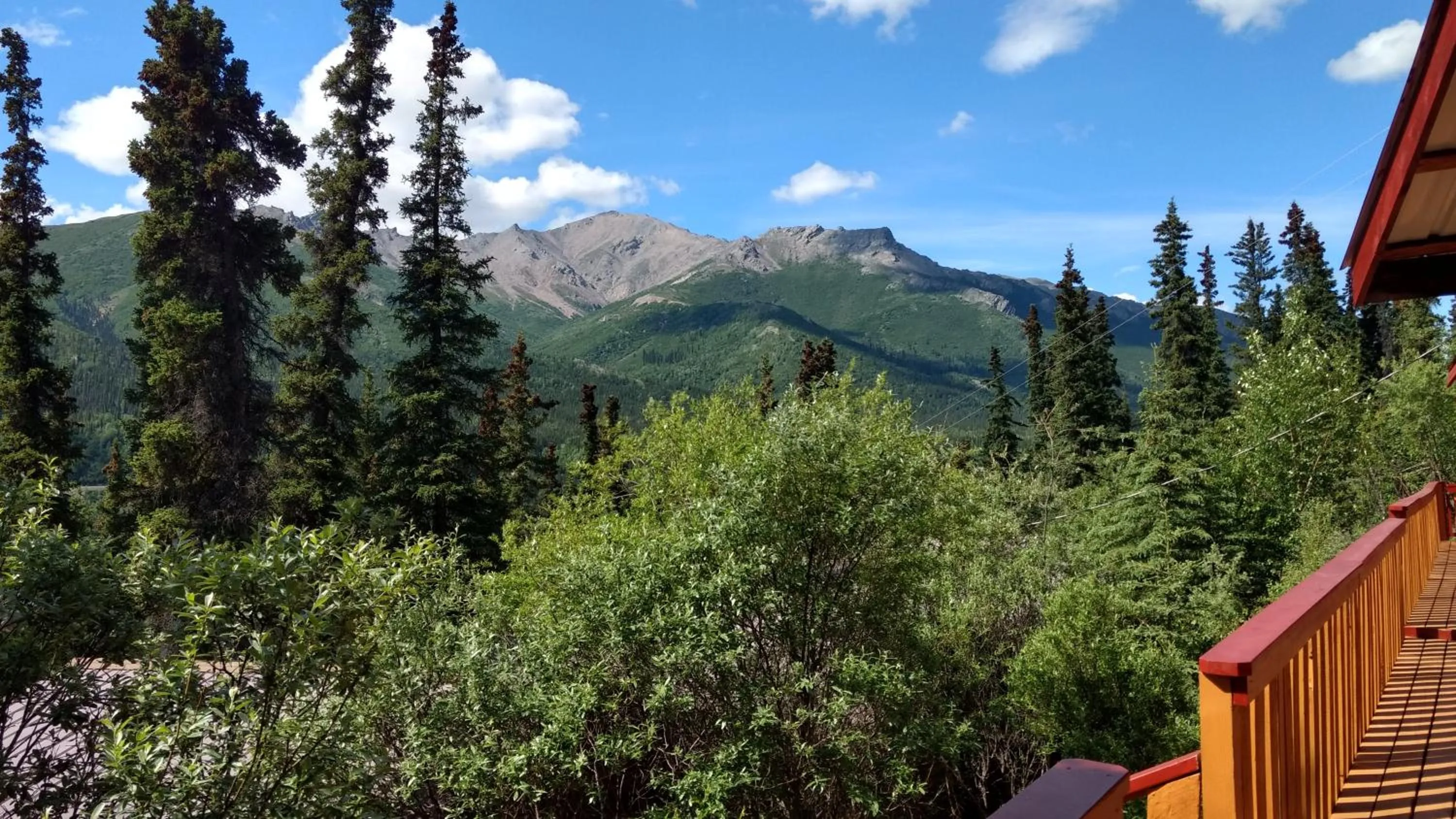 Mountain view in Denali Crow's Nest Cabins