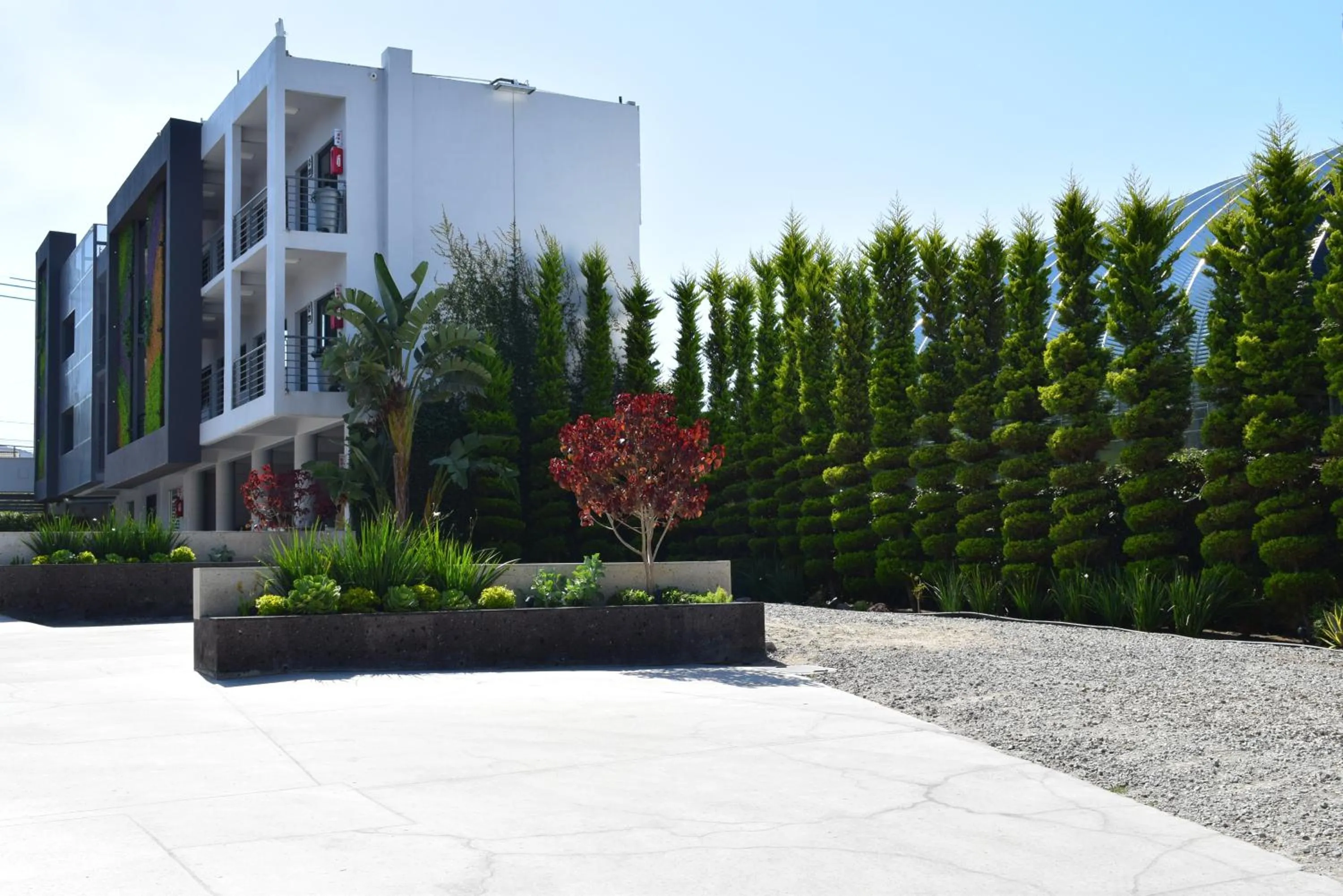 Patio in Hotel Pacific
