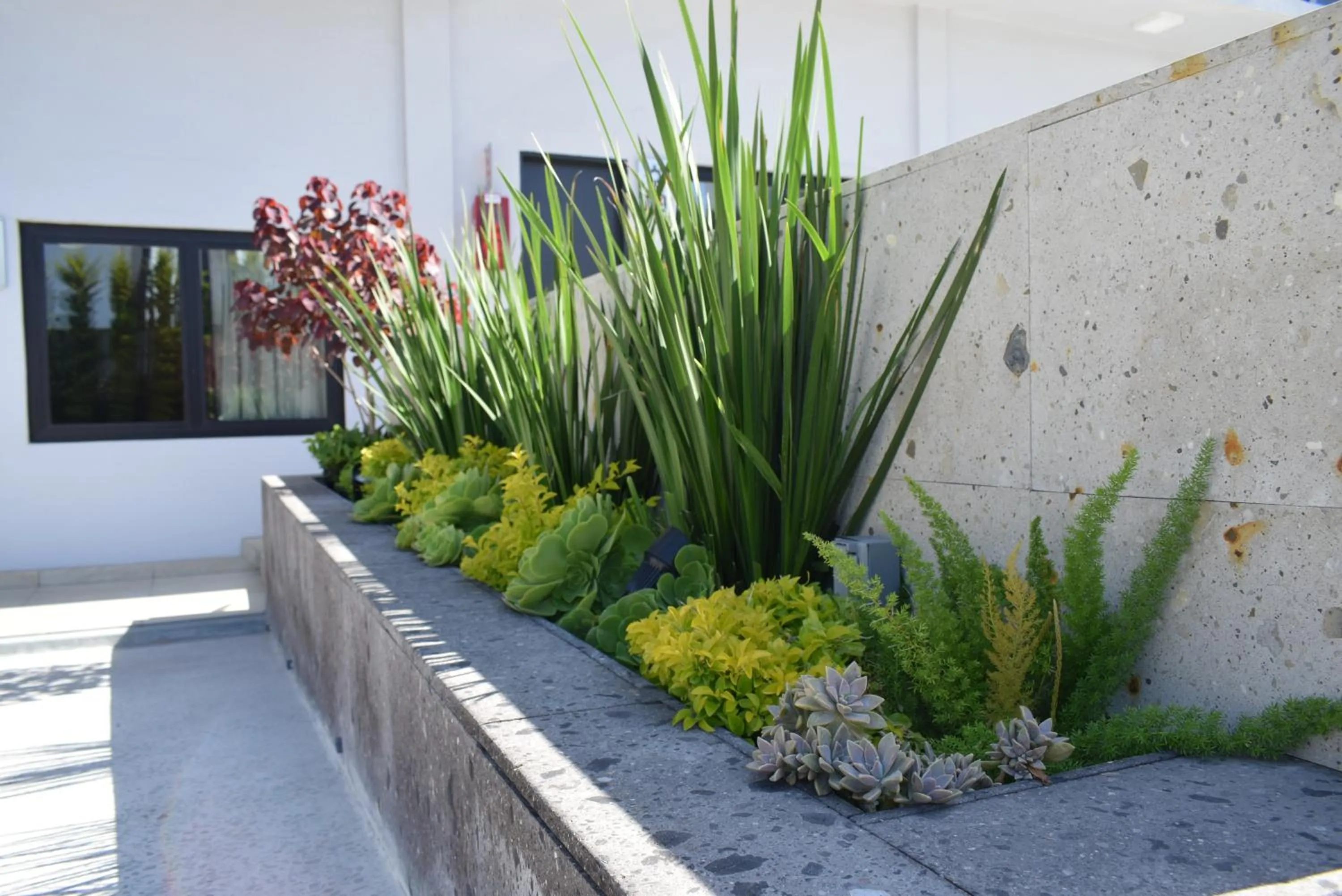 Patio in Hotel Pacific
