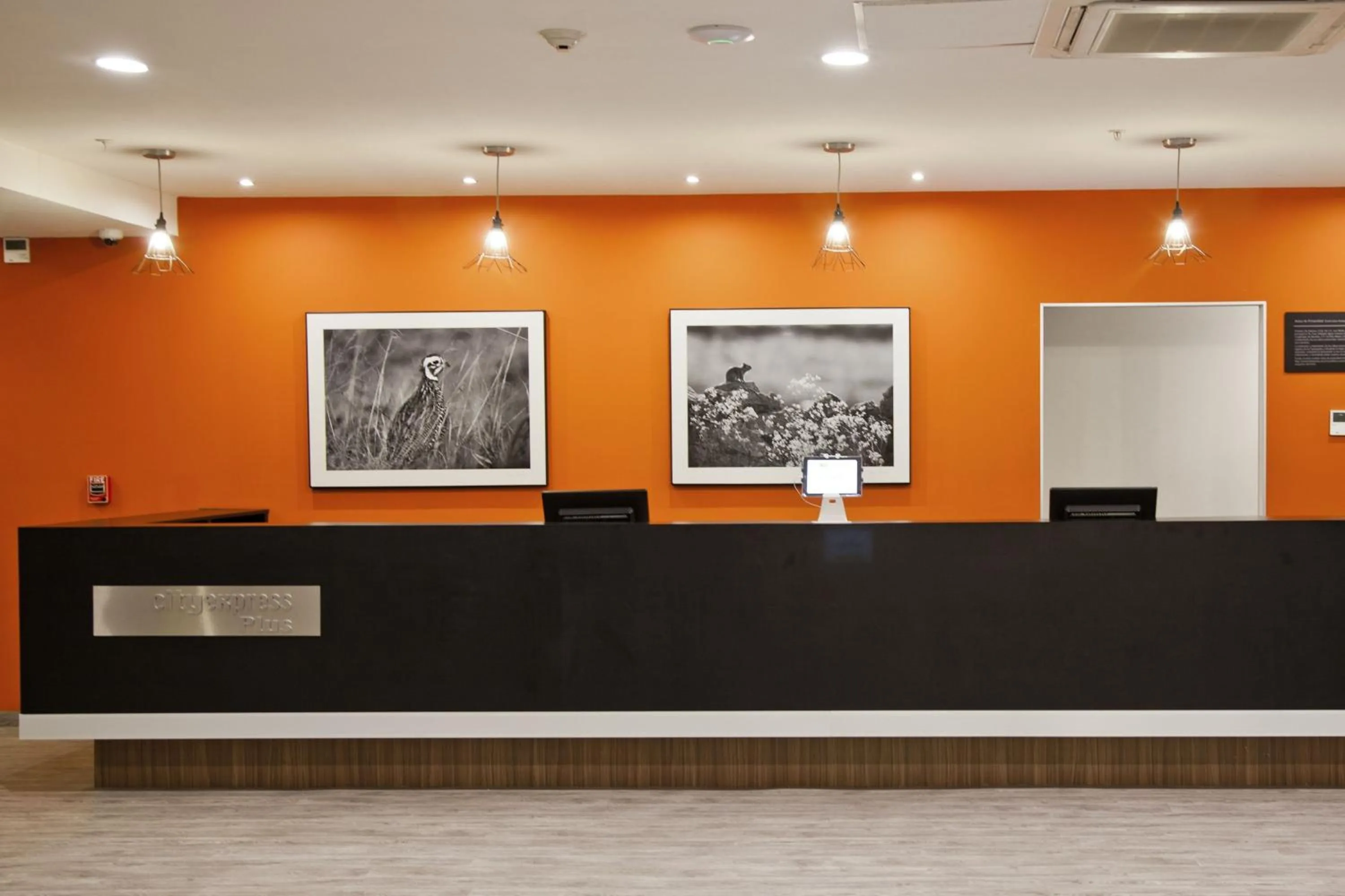 Lobby or reception in City Express Plus by Marriott Monterrey Nuevo Sur