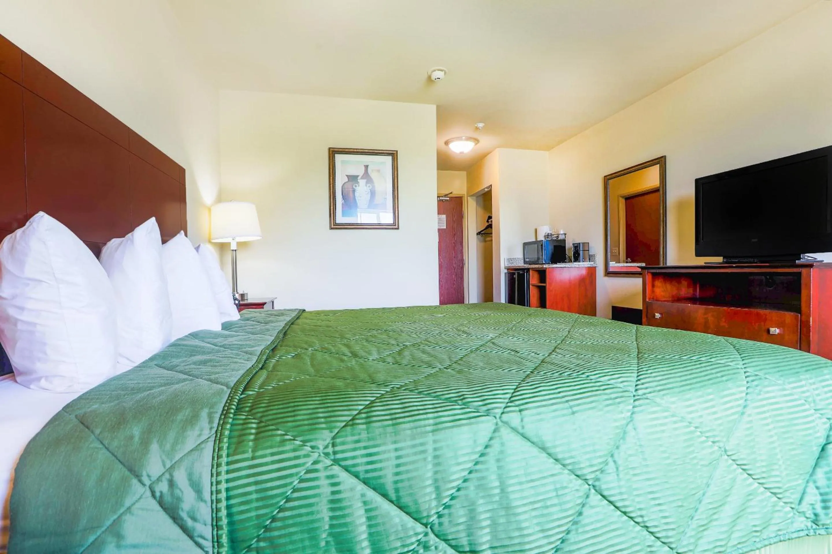 Bedroom in Evansville Inn & Suites by OYO