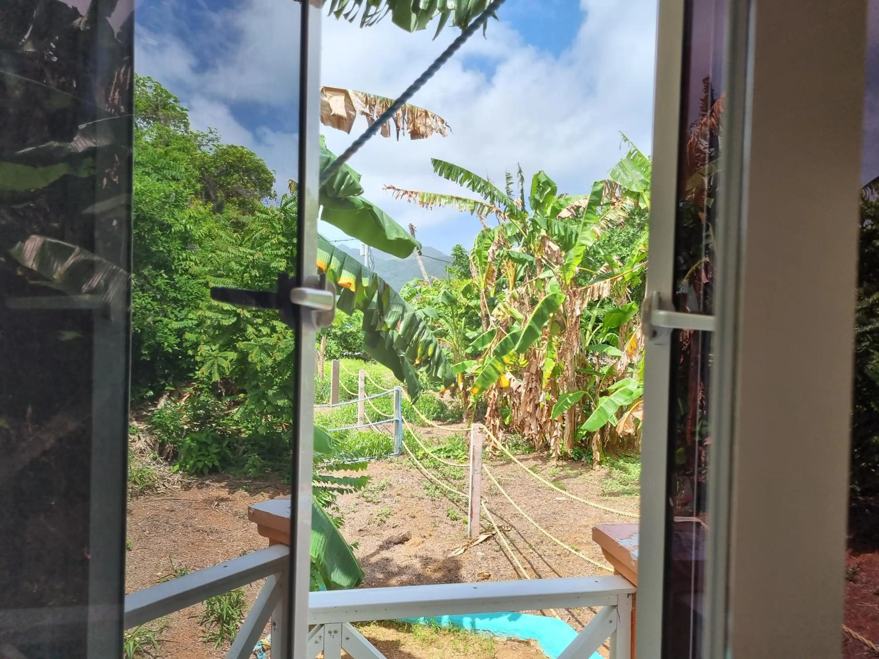 Natural landscape in Shell Sea B & B