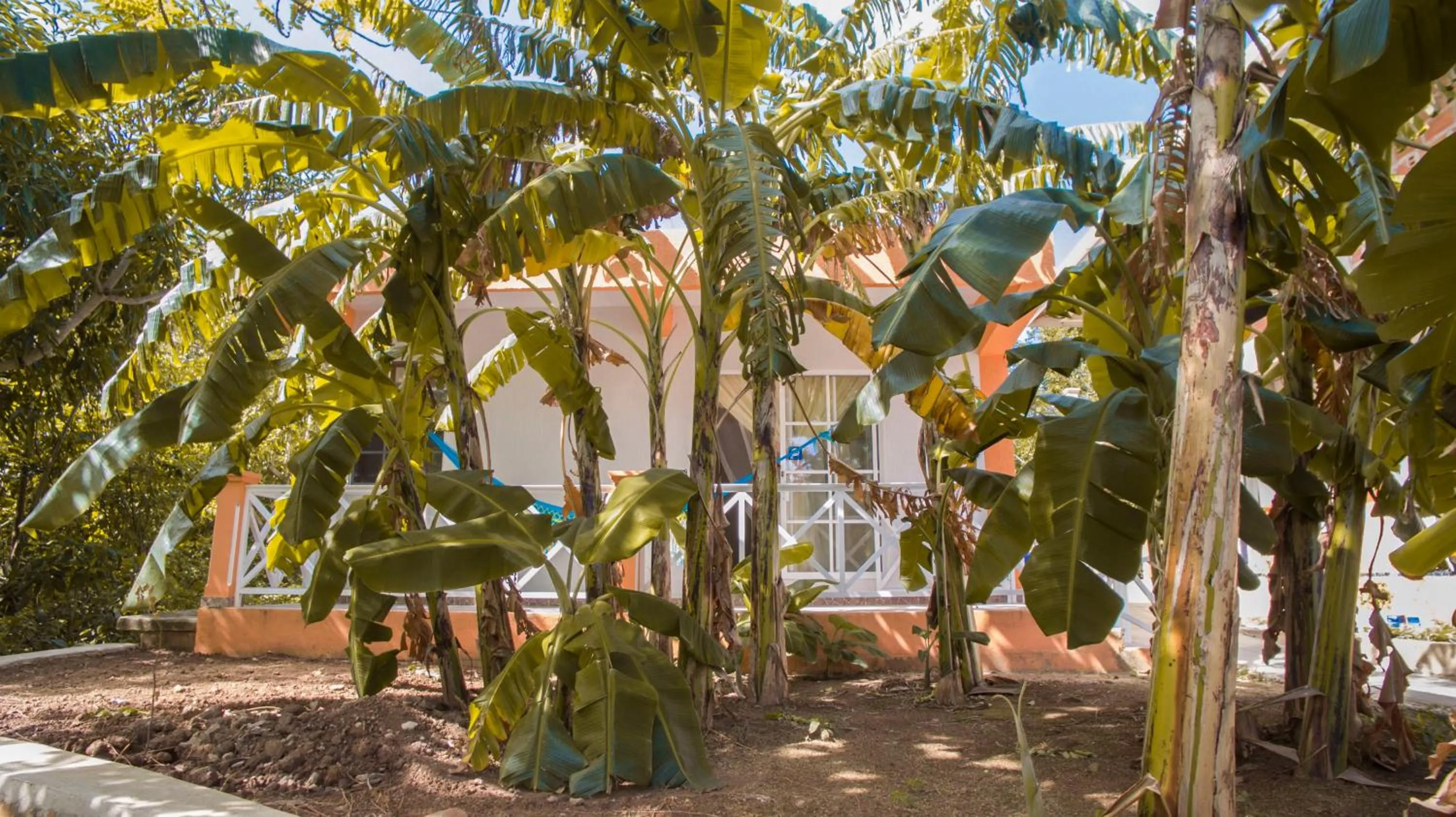 Natural landscape in Shell Sea B & B