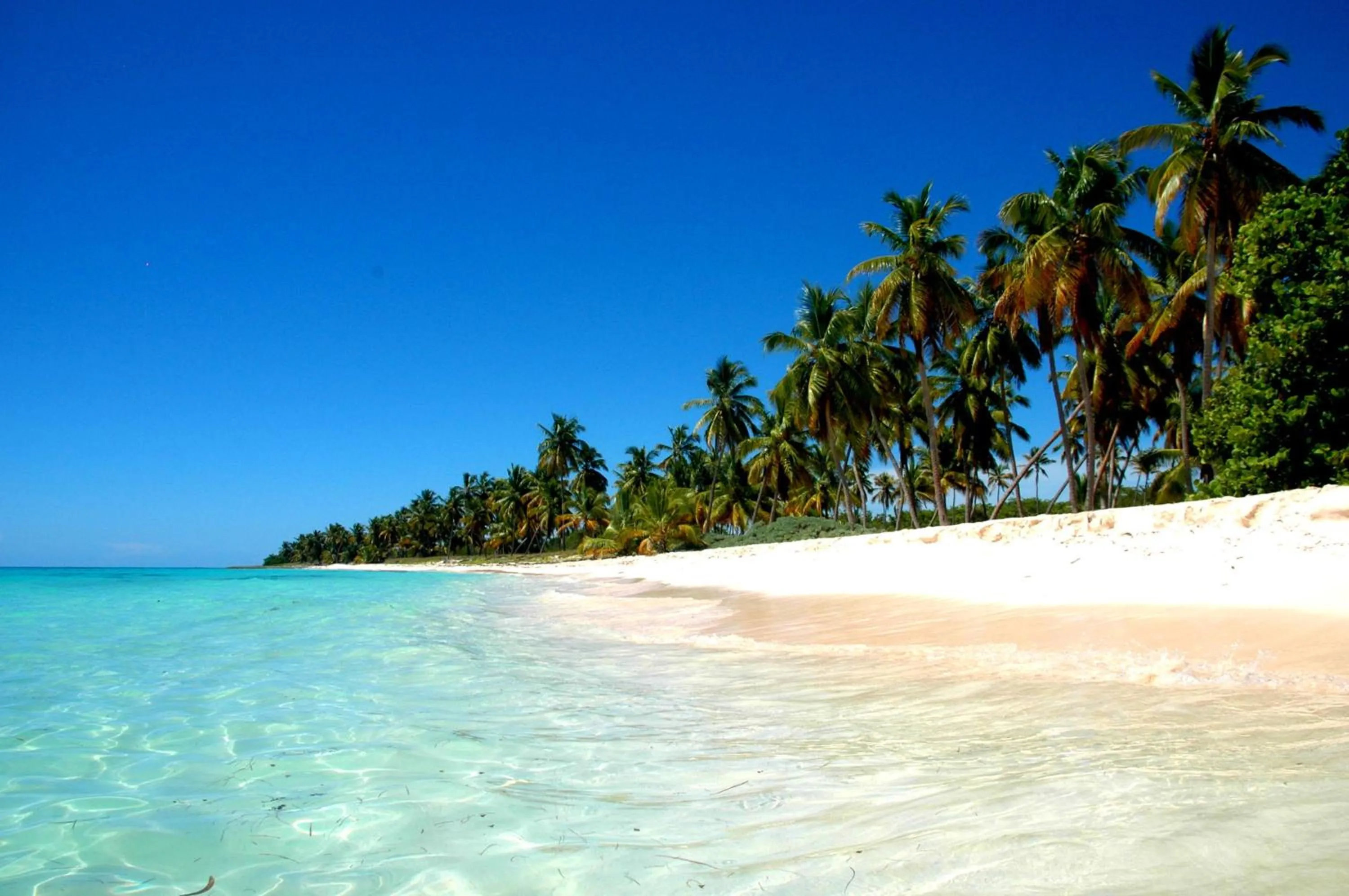 Beach in Los Flamencos Aparthotel Beach Club