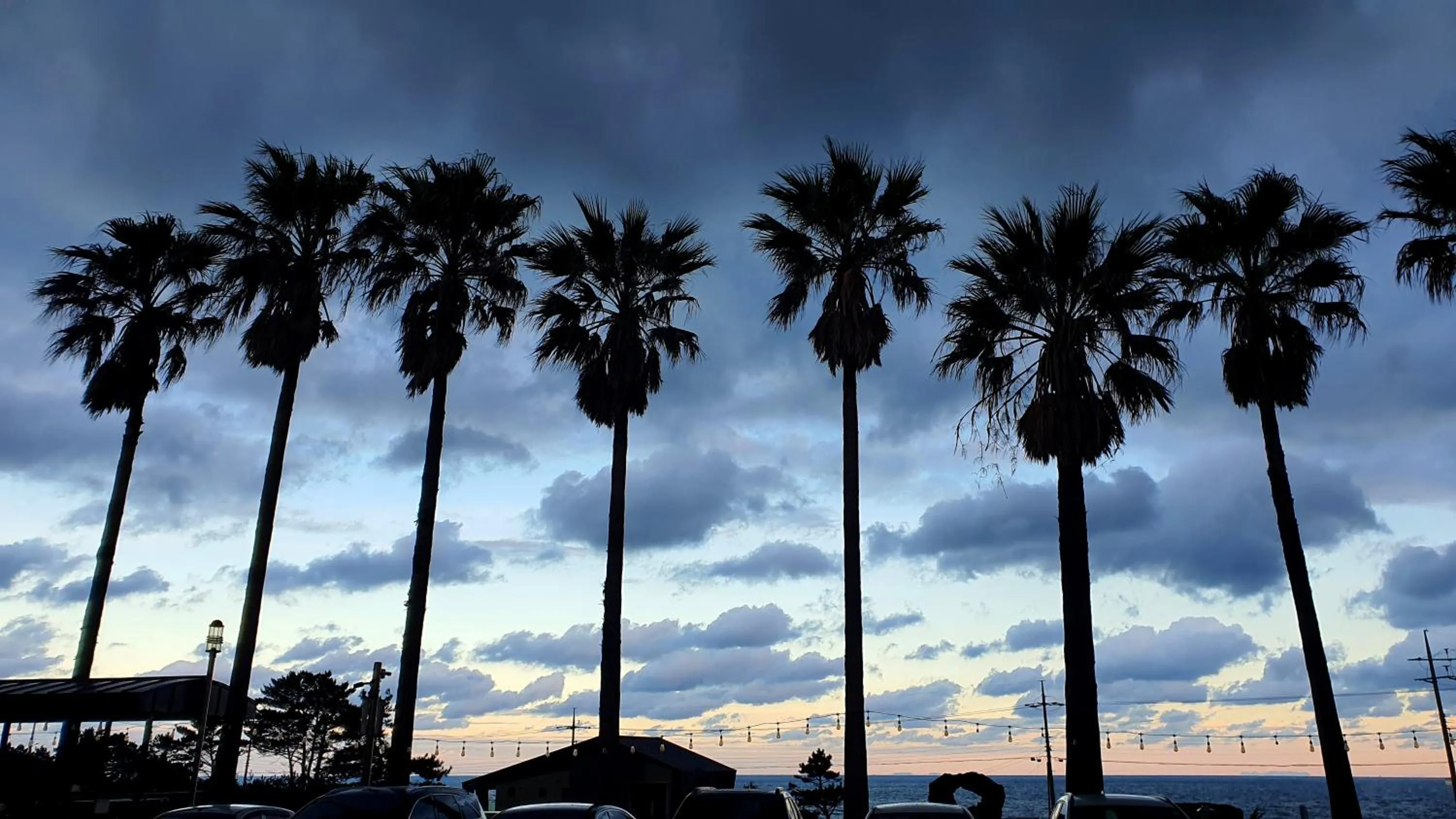 View (from property/room) in Benikea Hotel Jeju
