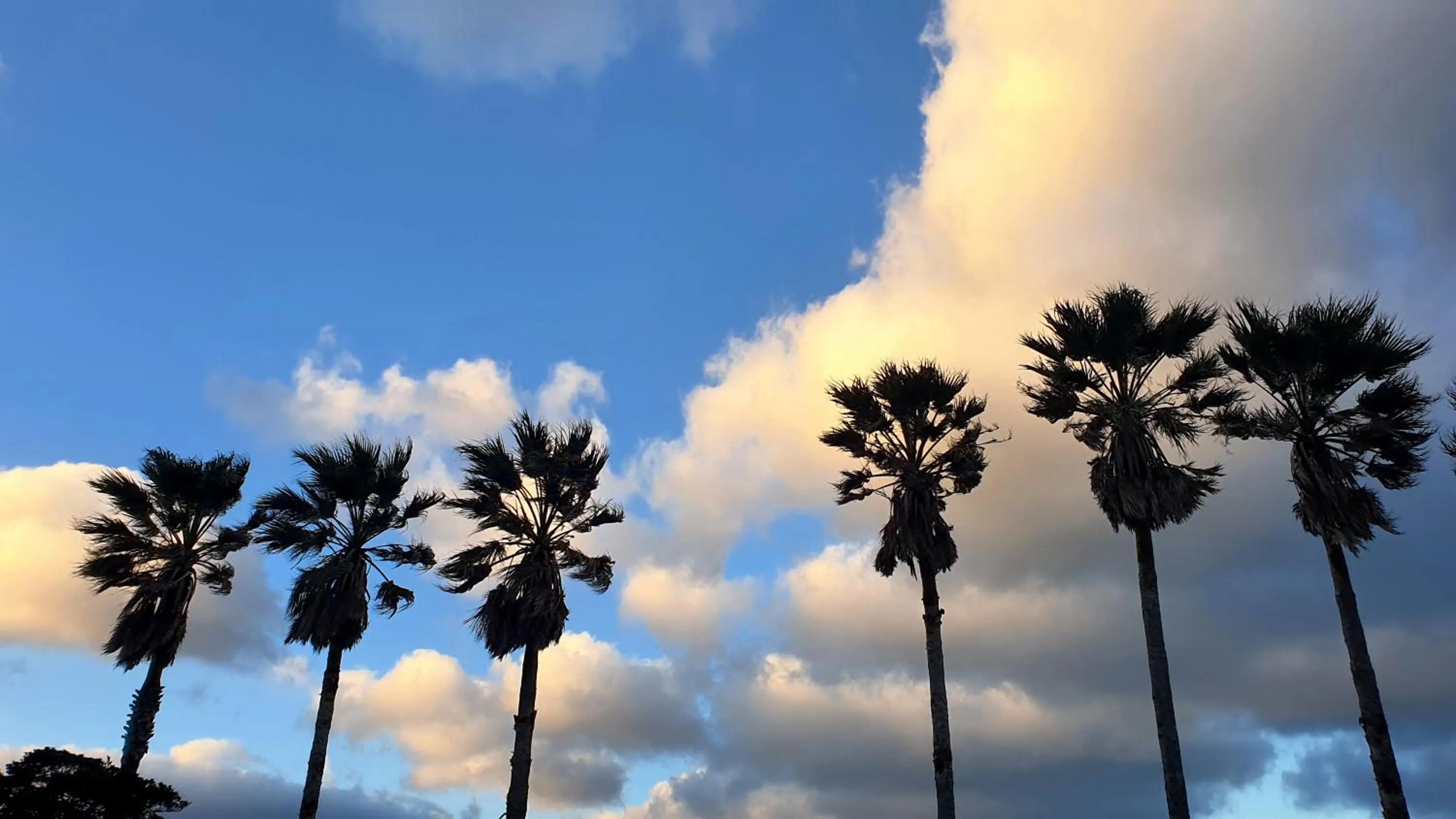 Property building in Benikea Hotel Jeju