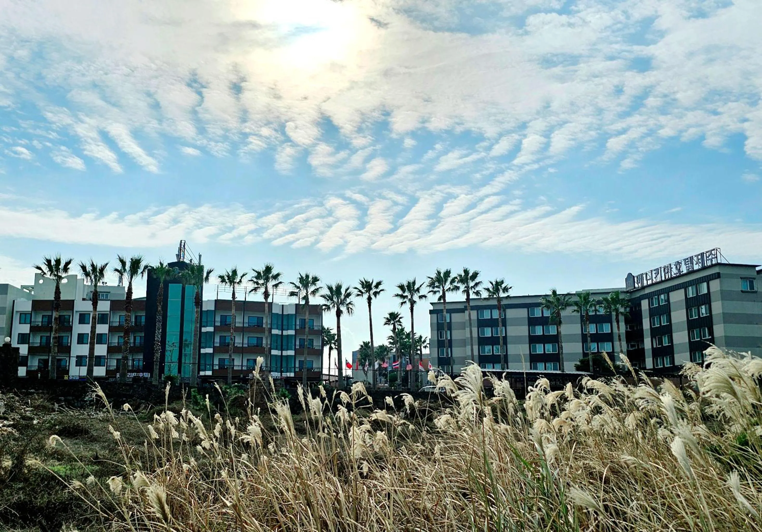Property building in Benikea Hotel Jeju