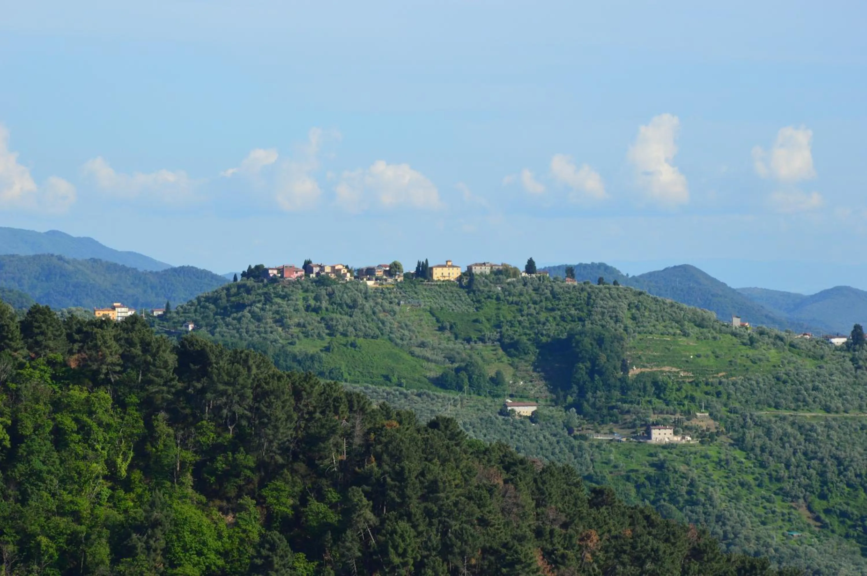 Mountain view in B&B Il Trebbio