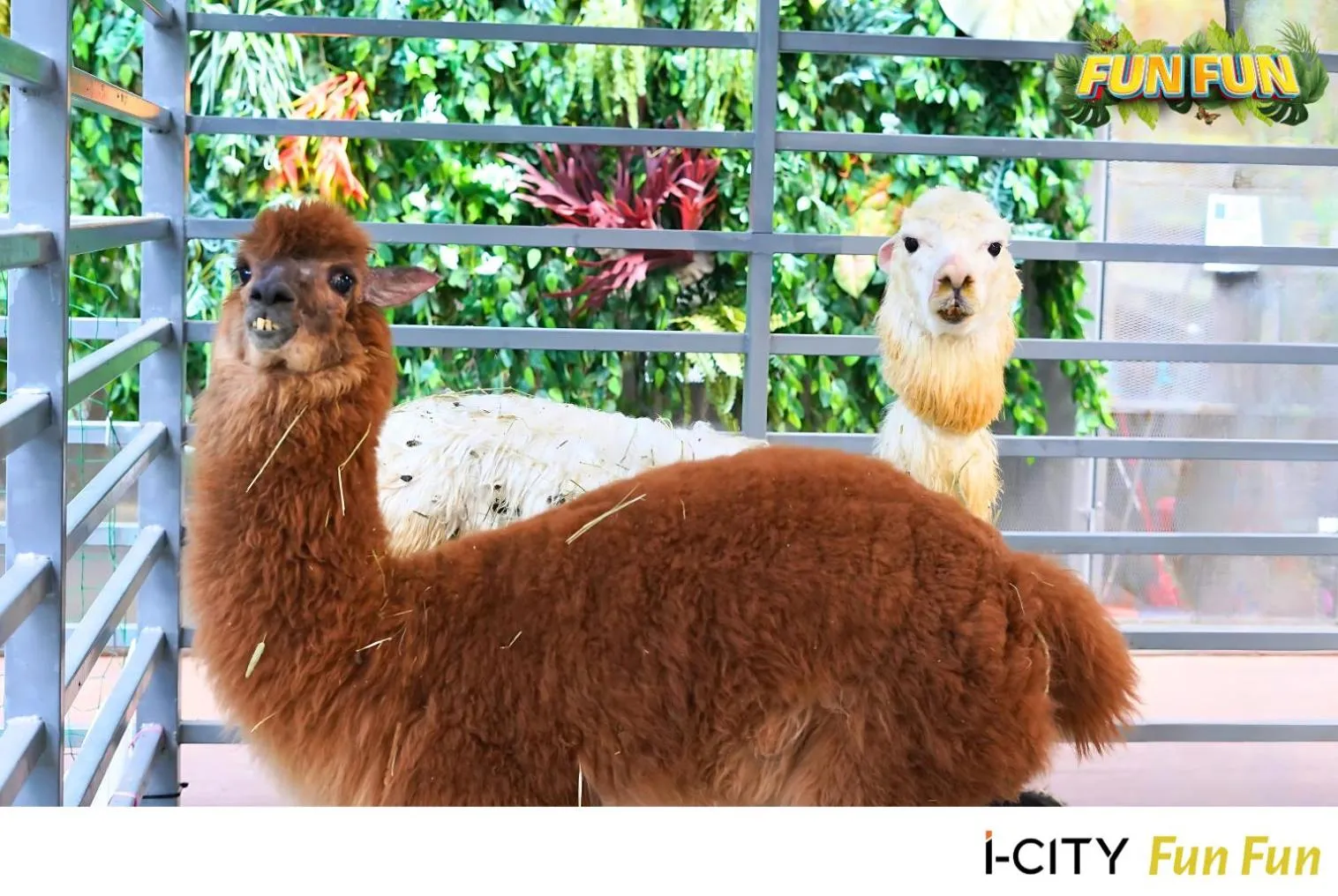 TV and multimedia in Wyndham Garden i-City Shah Alam