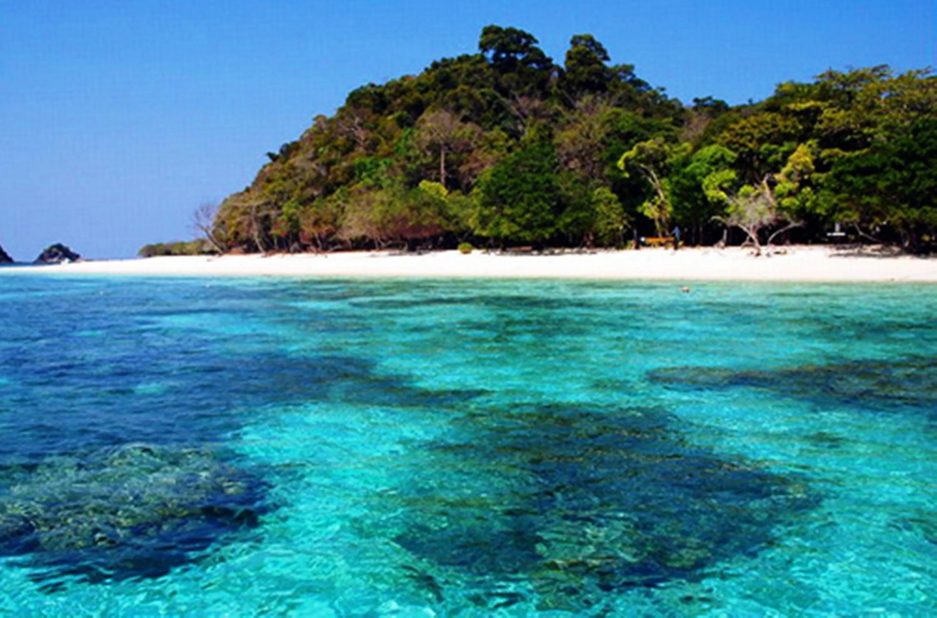 Snorkeling in O k Chawkoh Bungalow