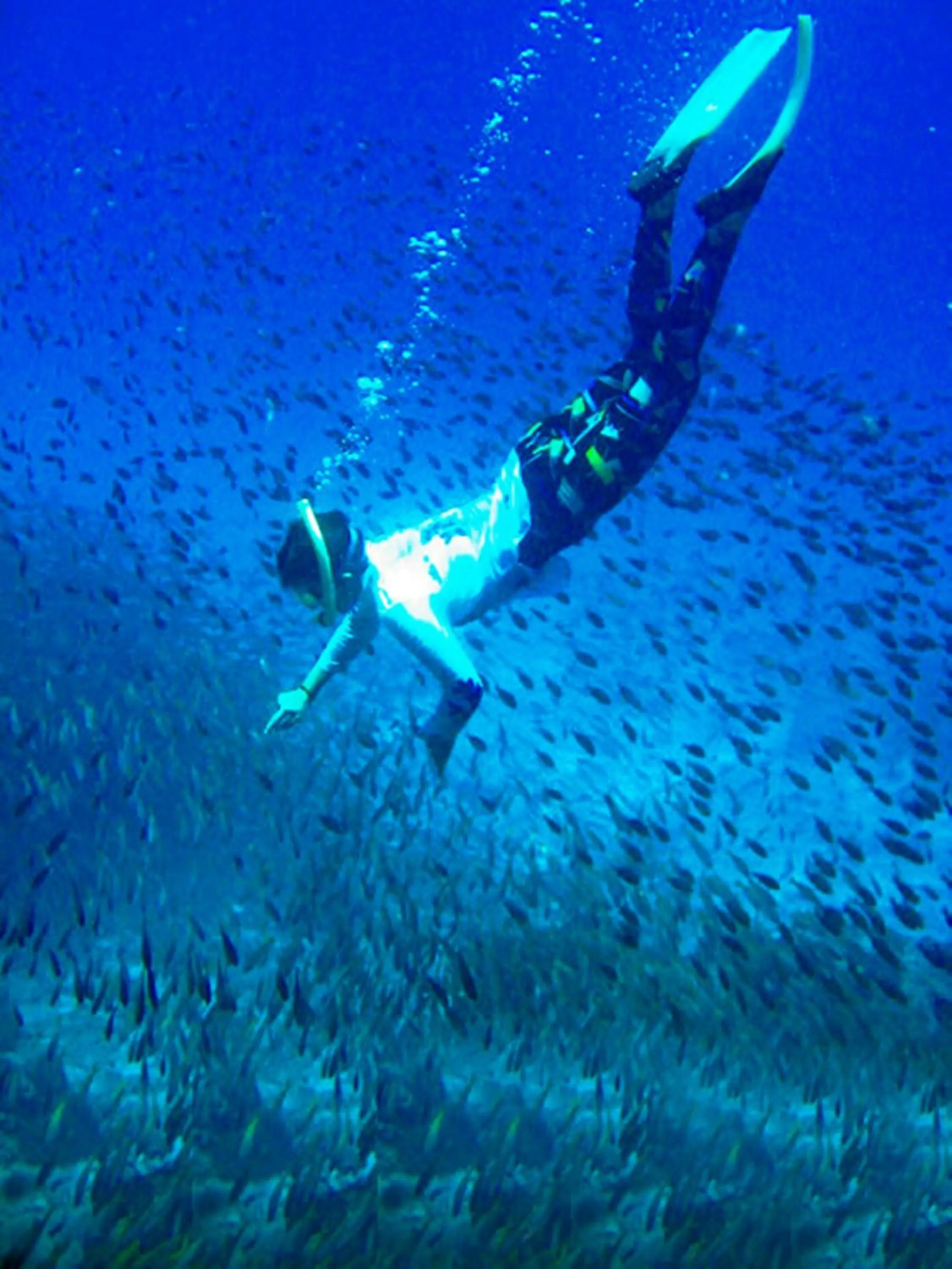 Diving in O k Chawkoh Bungalow