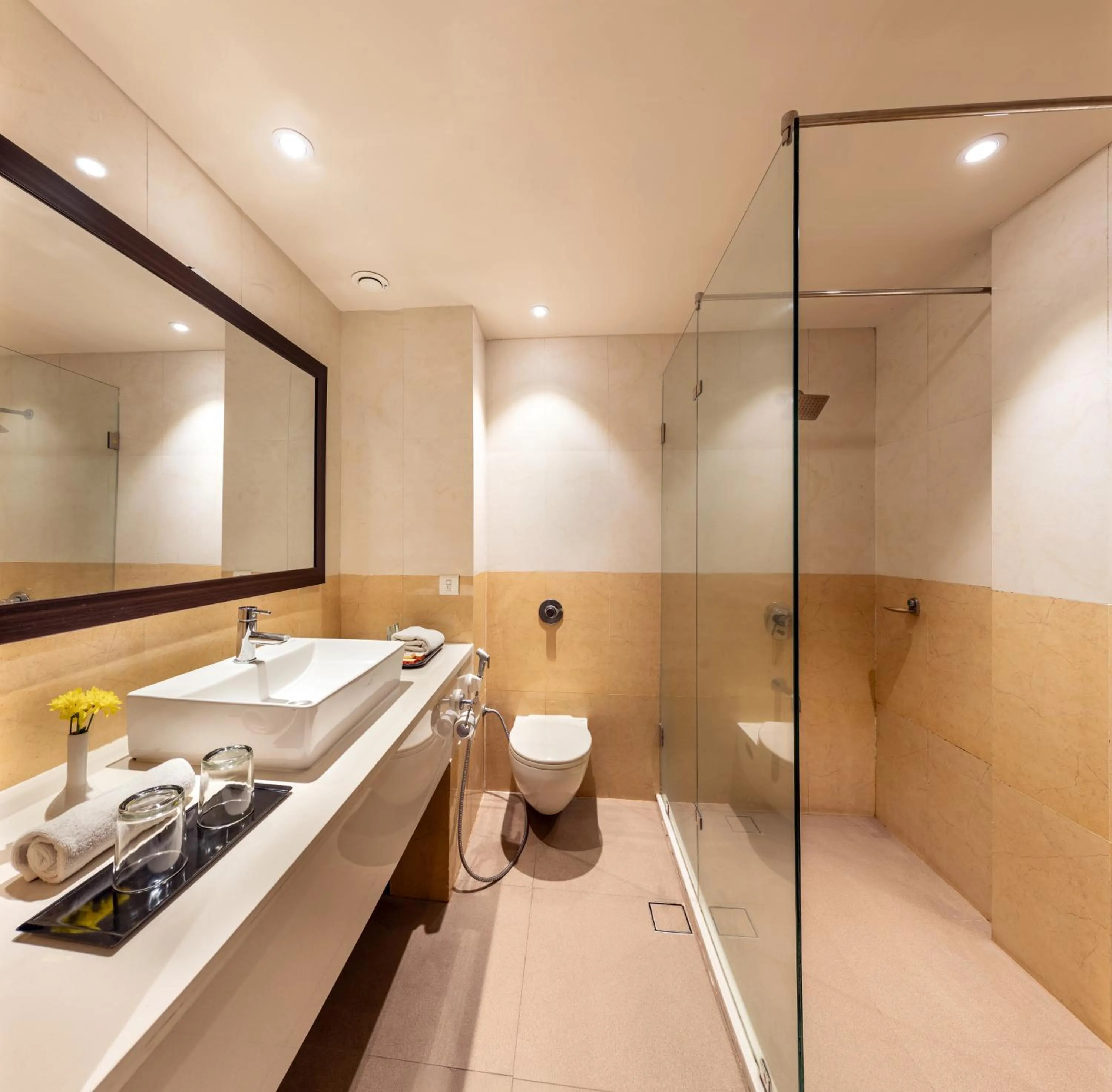 Bathroom in Comfort Inn Alstonia