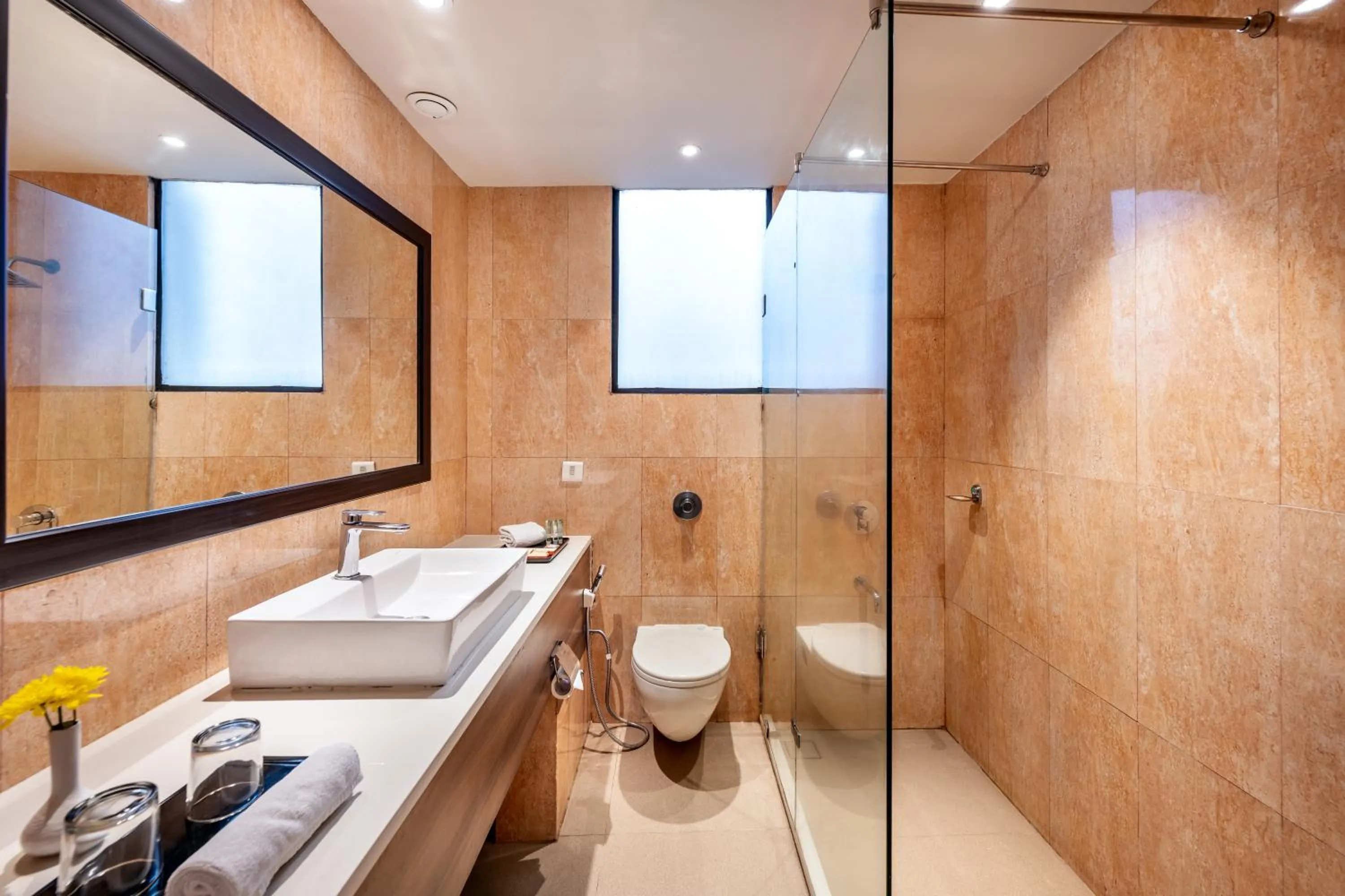 Bathroom in Comfort Inn Alstonia