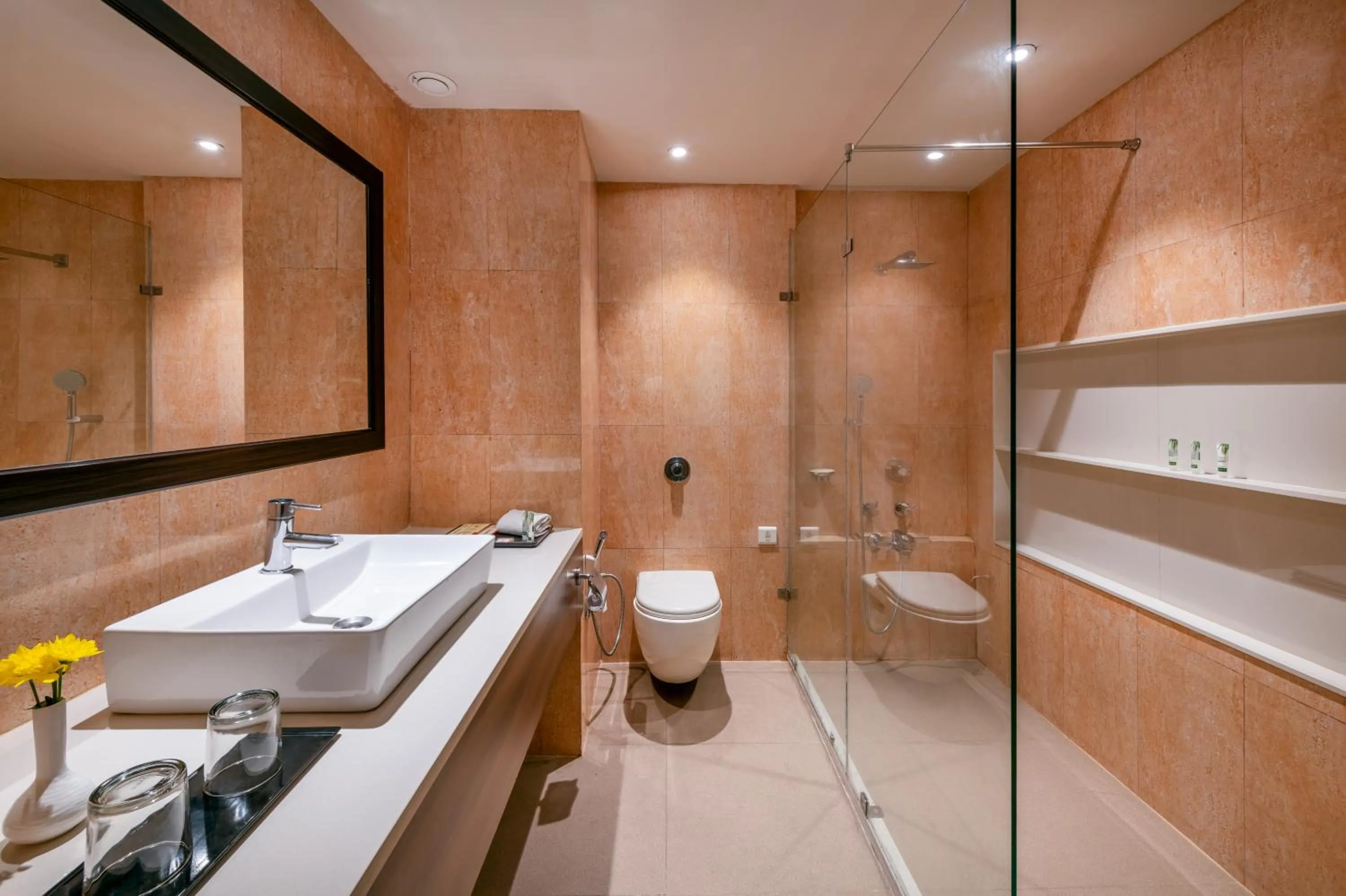 Bathroom in Comfort Inn Alstonia