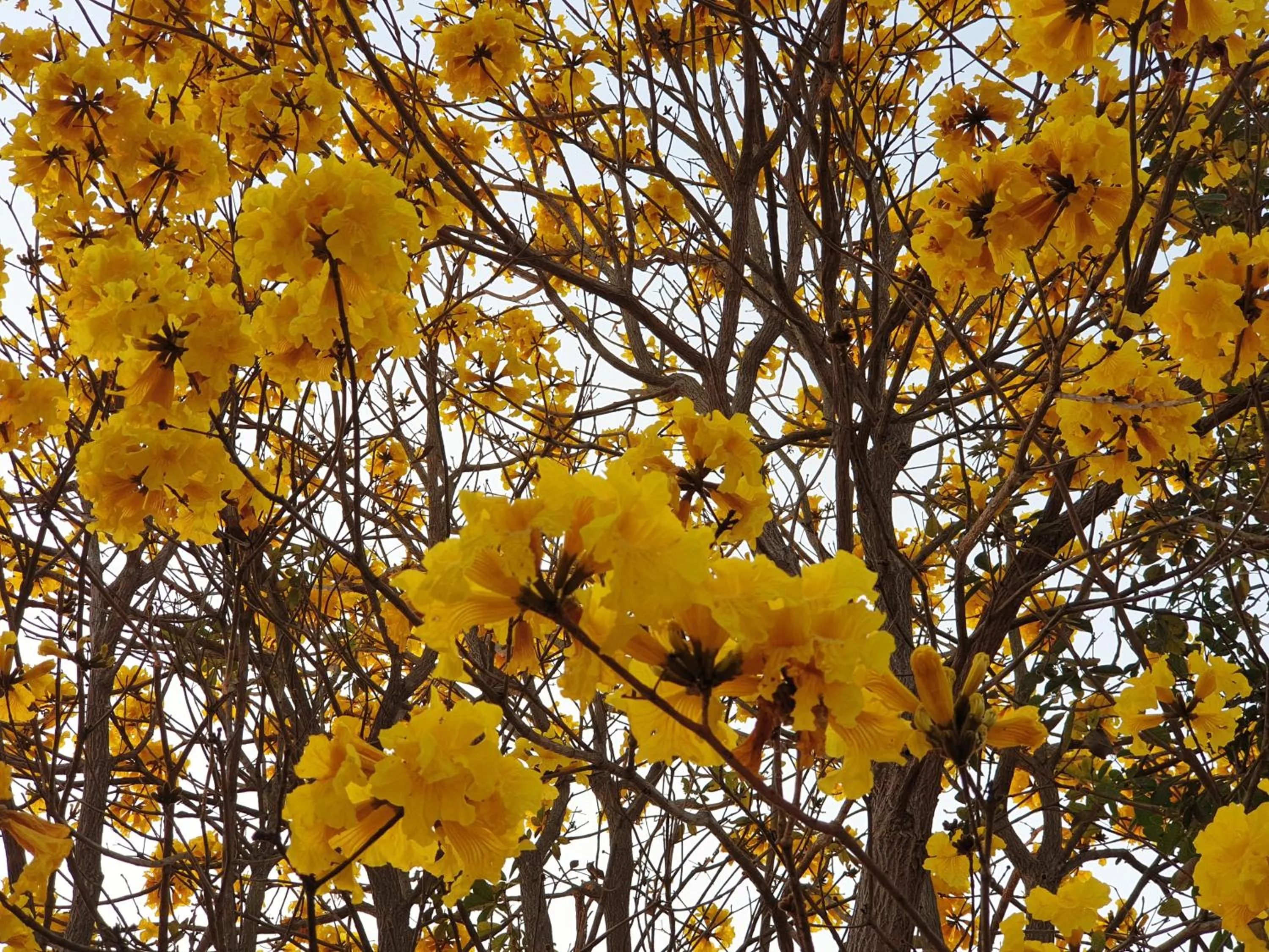 Natural landscape in Khao Kho Lucky Hill Resort