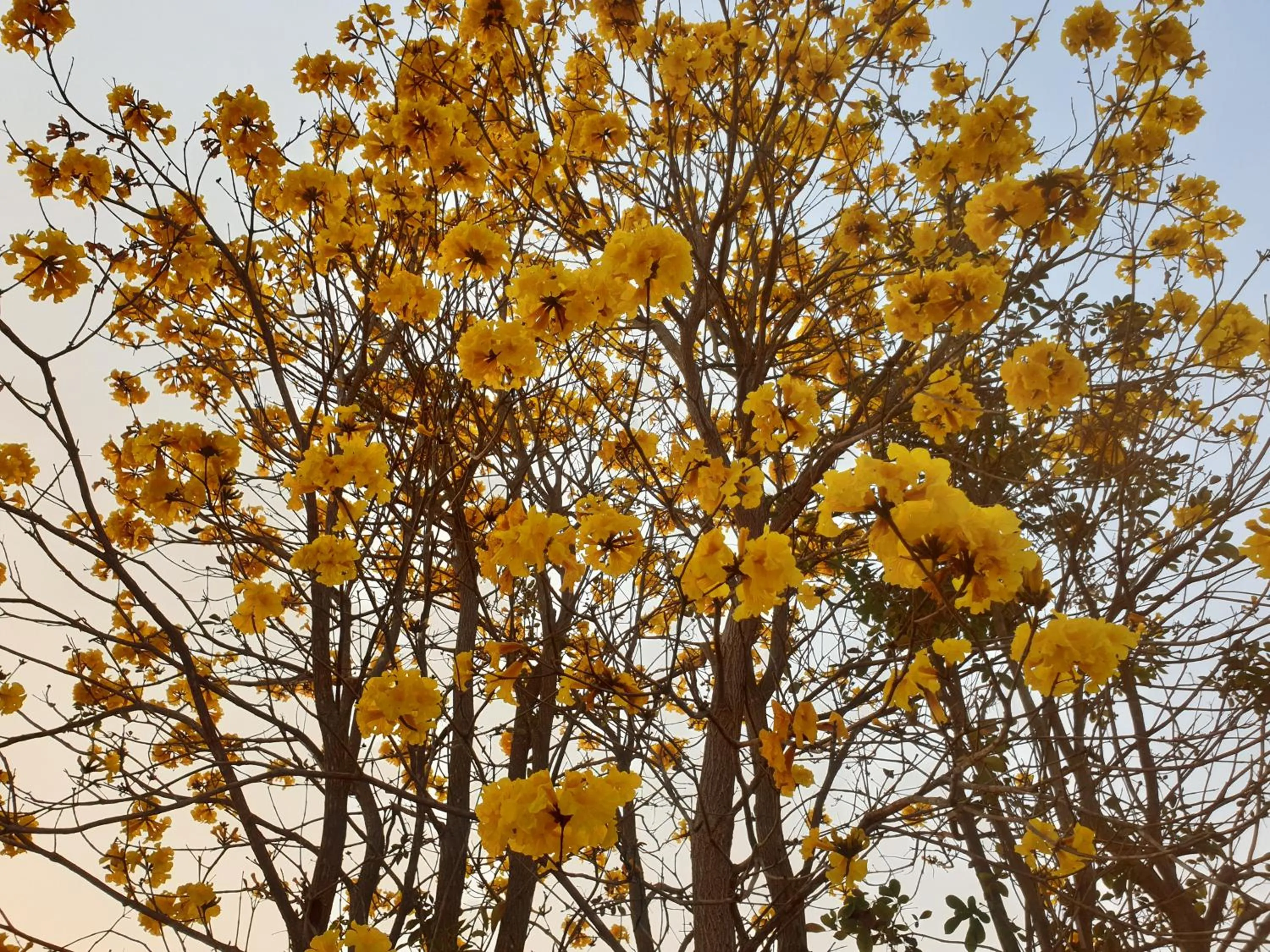 Natural landscape in Khao Kho Lucky Hill Resort