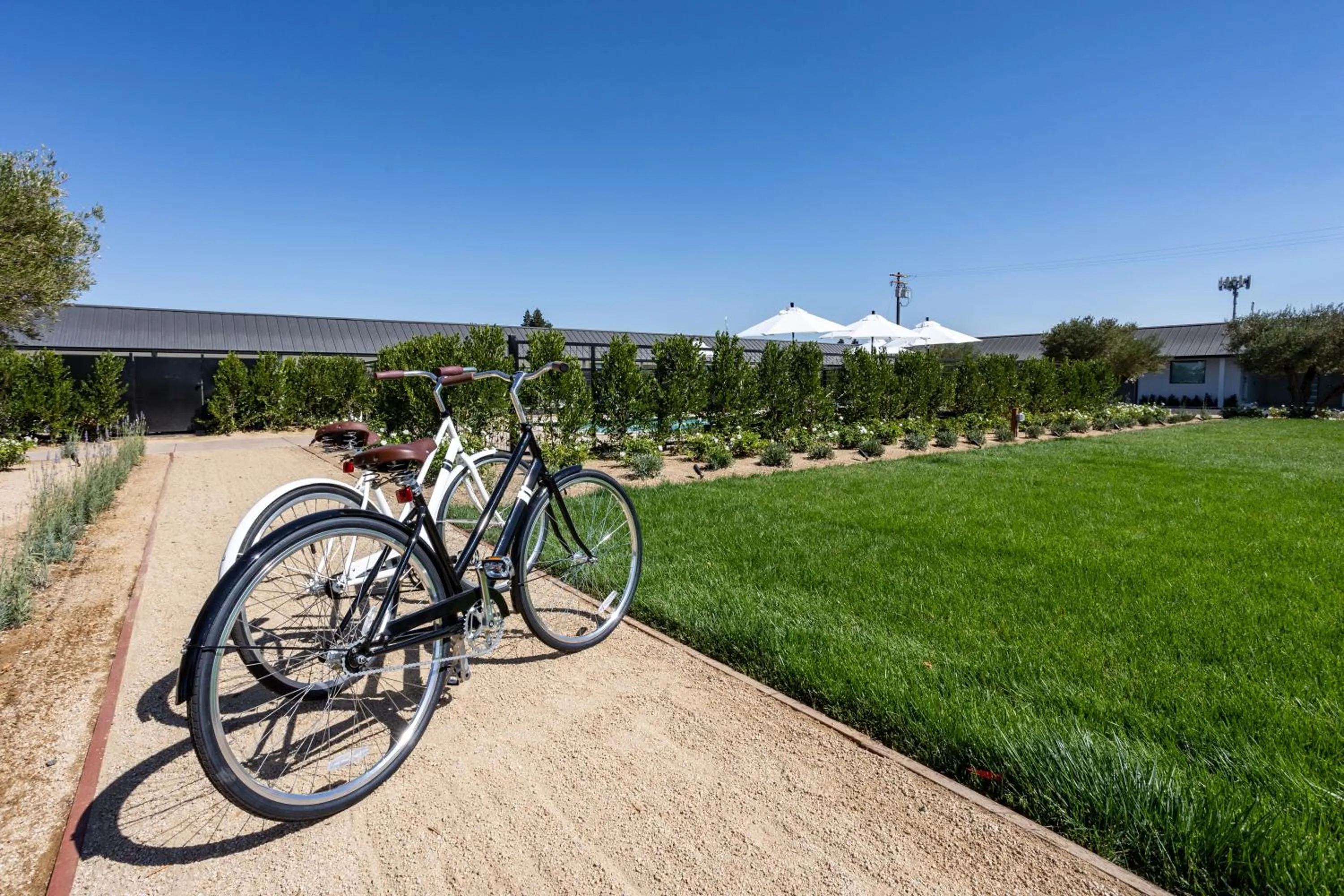 Garden in Hotel Bayit