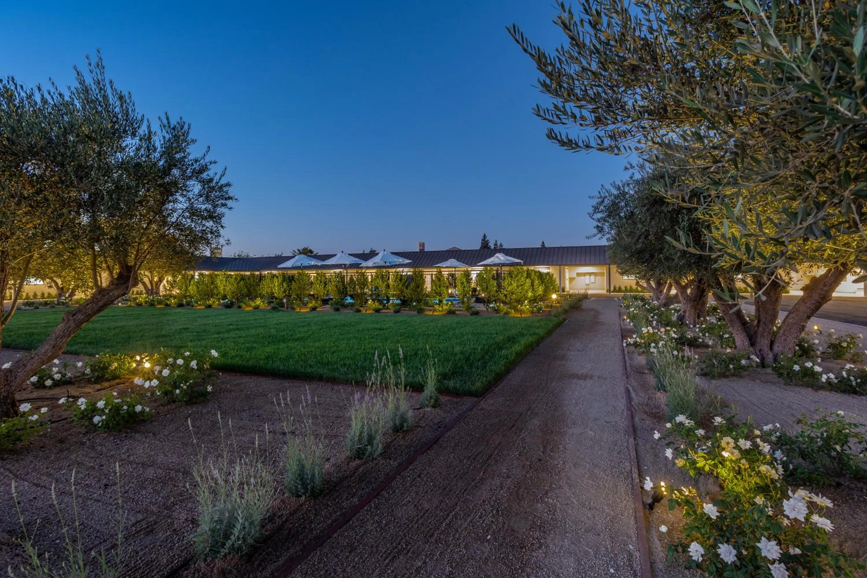 Garden in Hotel Bayit