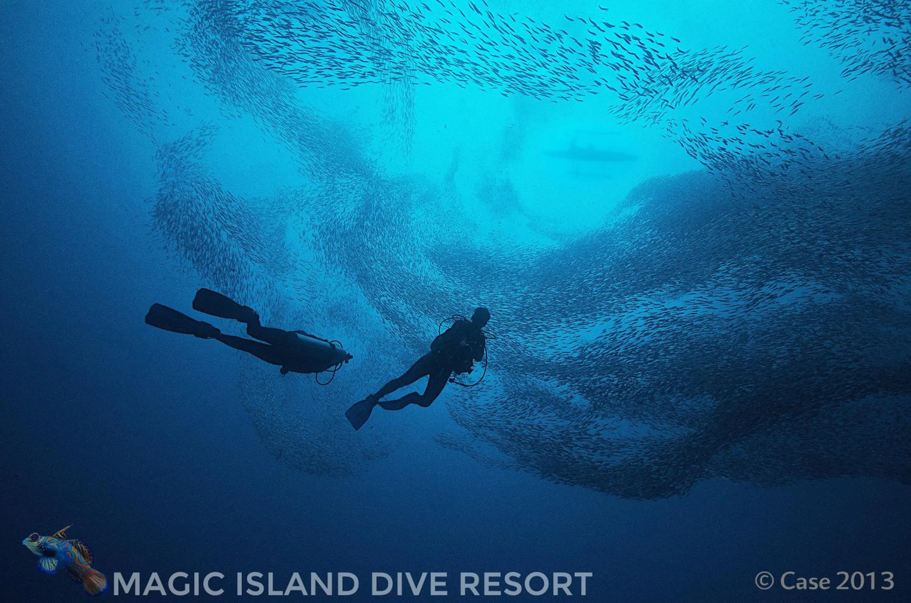 Diving in Magic Island Dive Resort