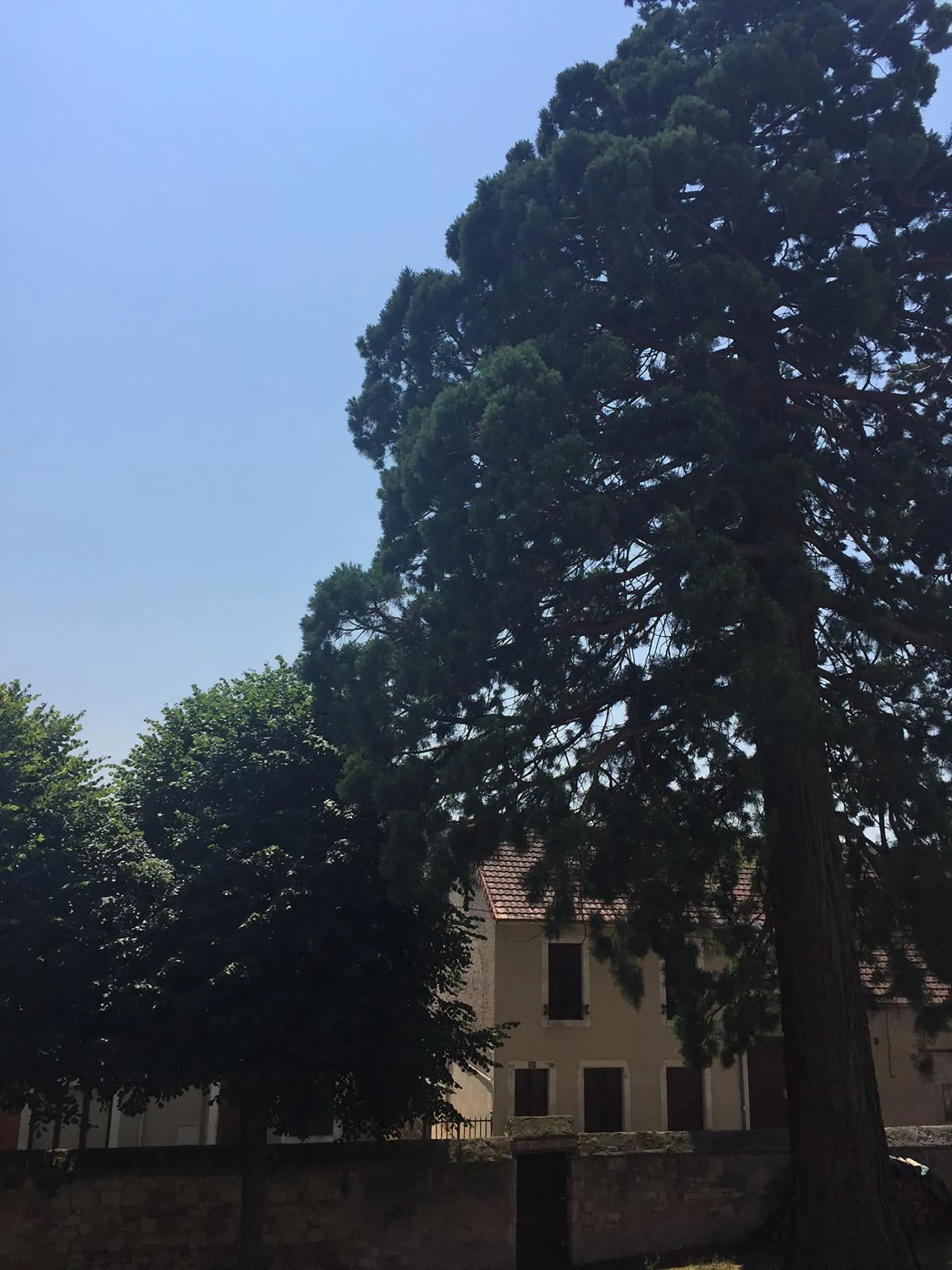 City view in Boutique Hotel B&B Fleurie