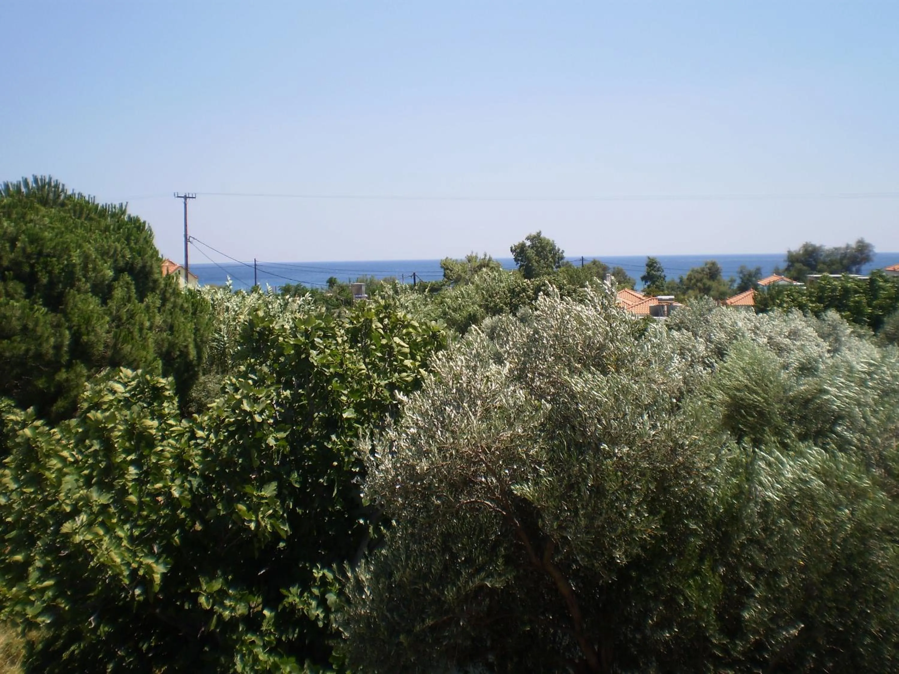 View (from property/room) in So Nice Hotel