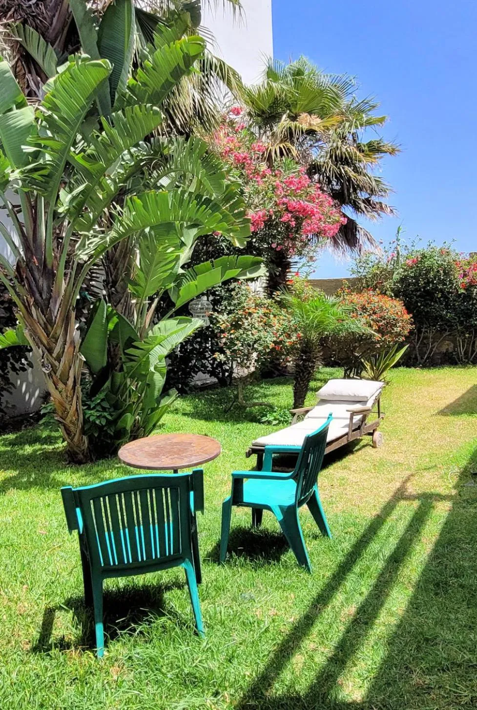 Garden in Maison de la Lagune