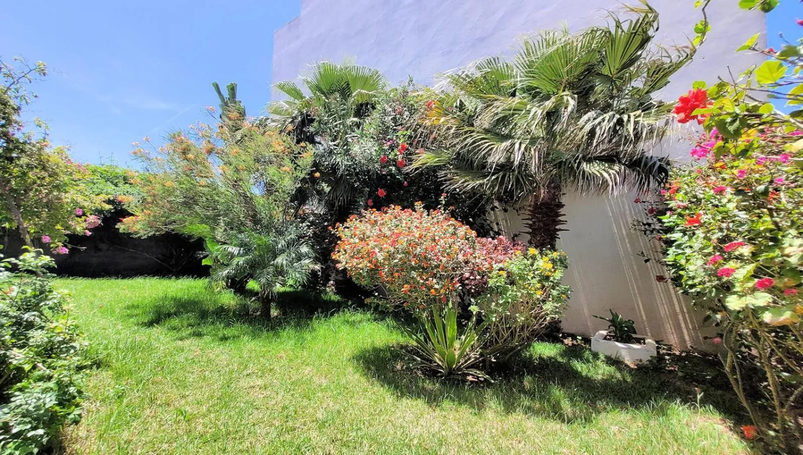 Garden in Maison de la Lagune