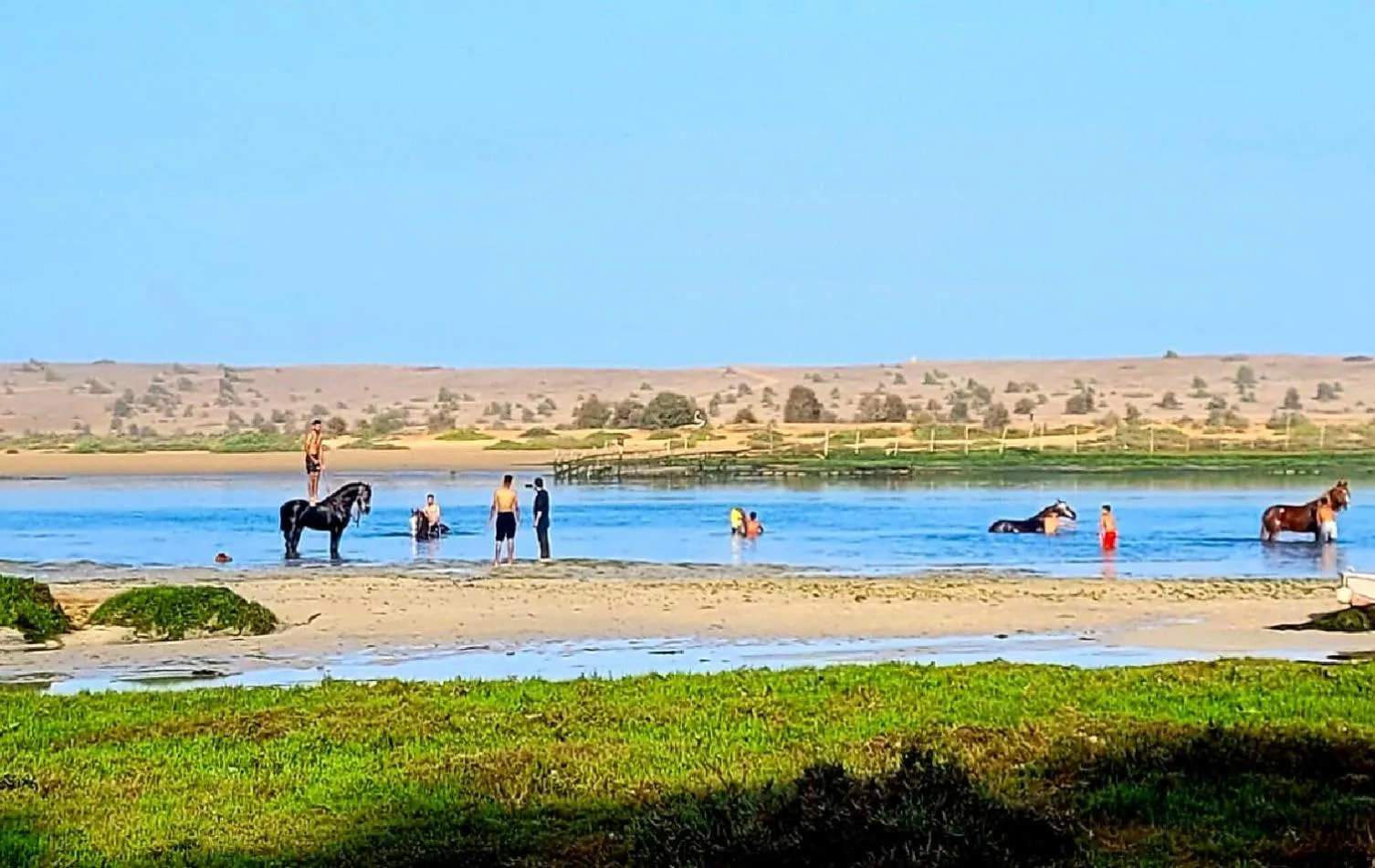 Natural landscape in Maison de la Lagune