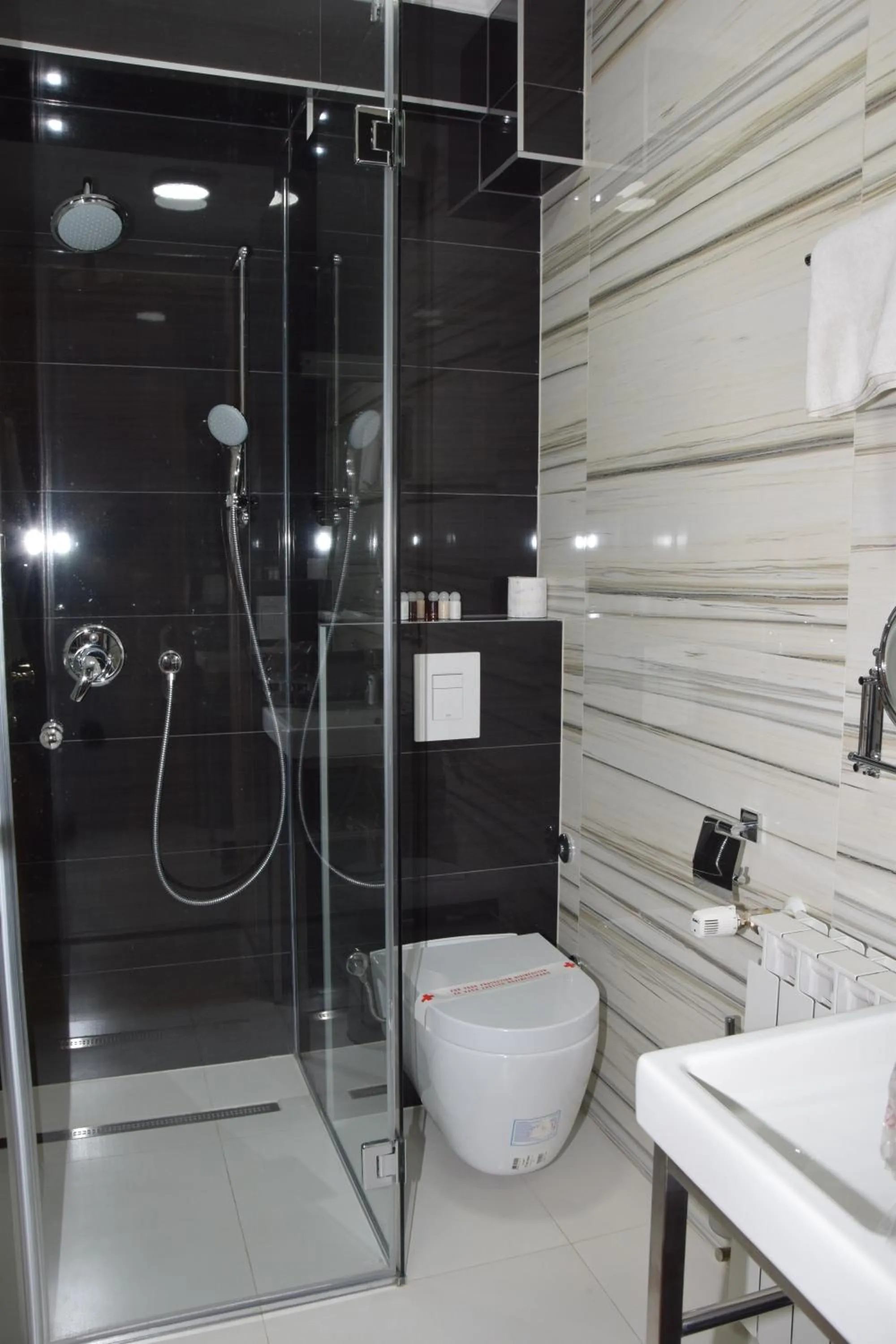 Bathroom in Hotel Elegance