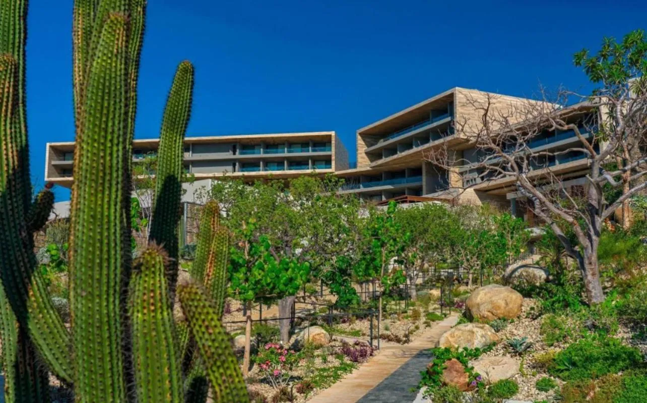 Day in Solaz, a Luxury Collection Resort, Los Cabos