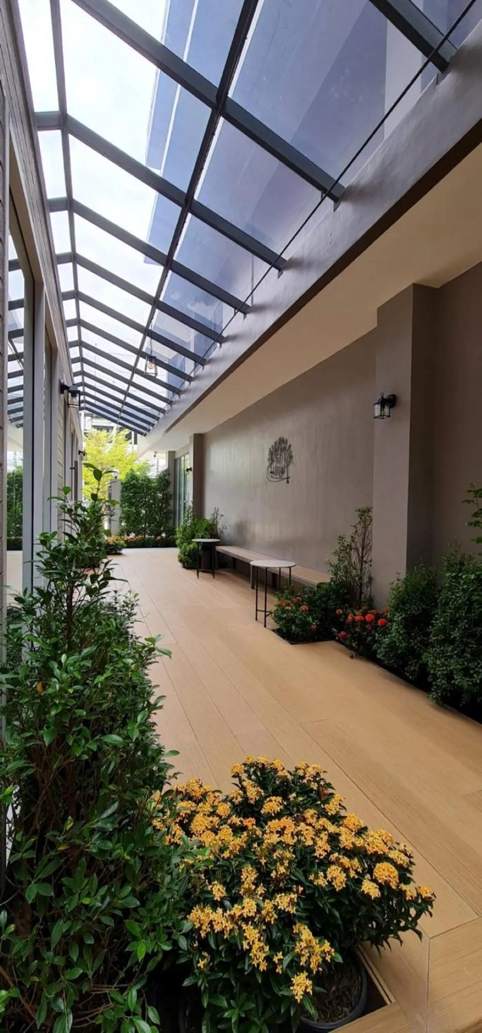 Garden in 35 Bow Hotel