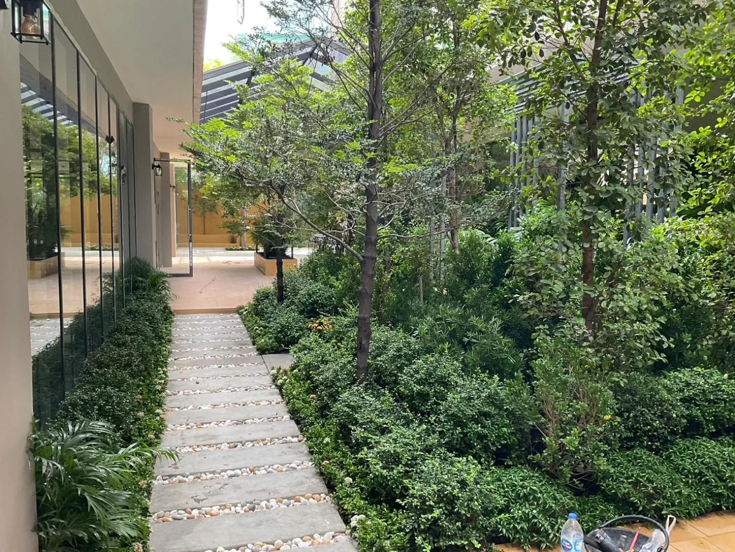 Garden in 35 Bow Hotel