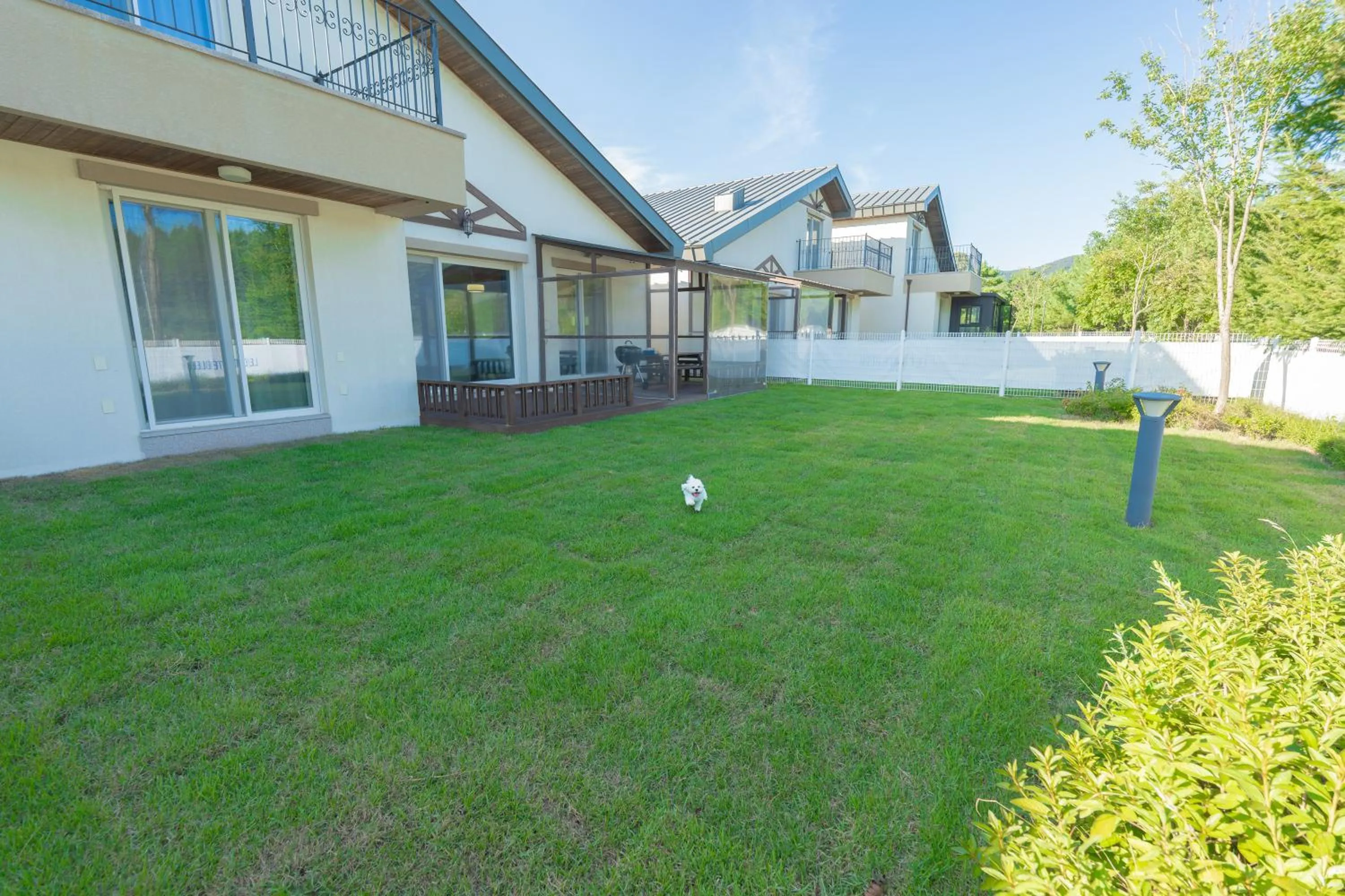 Garden in Le comte bleu