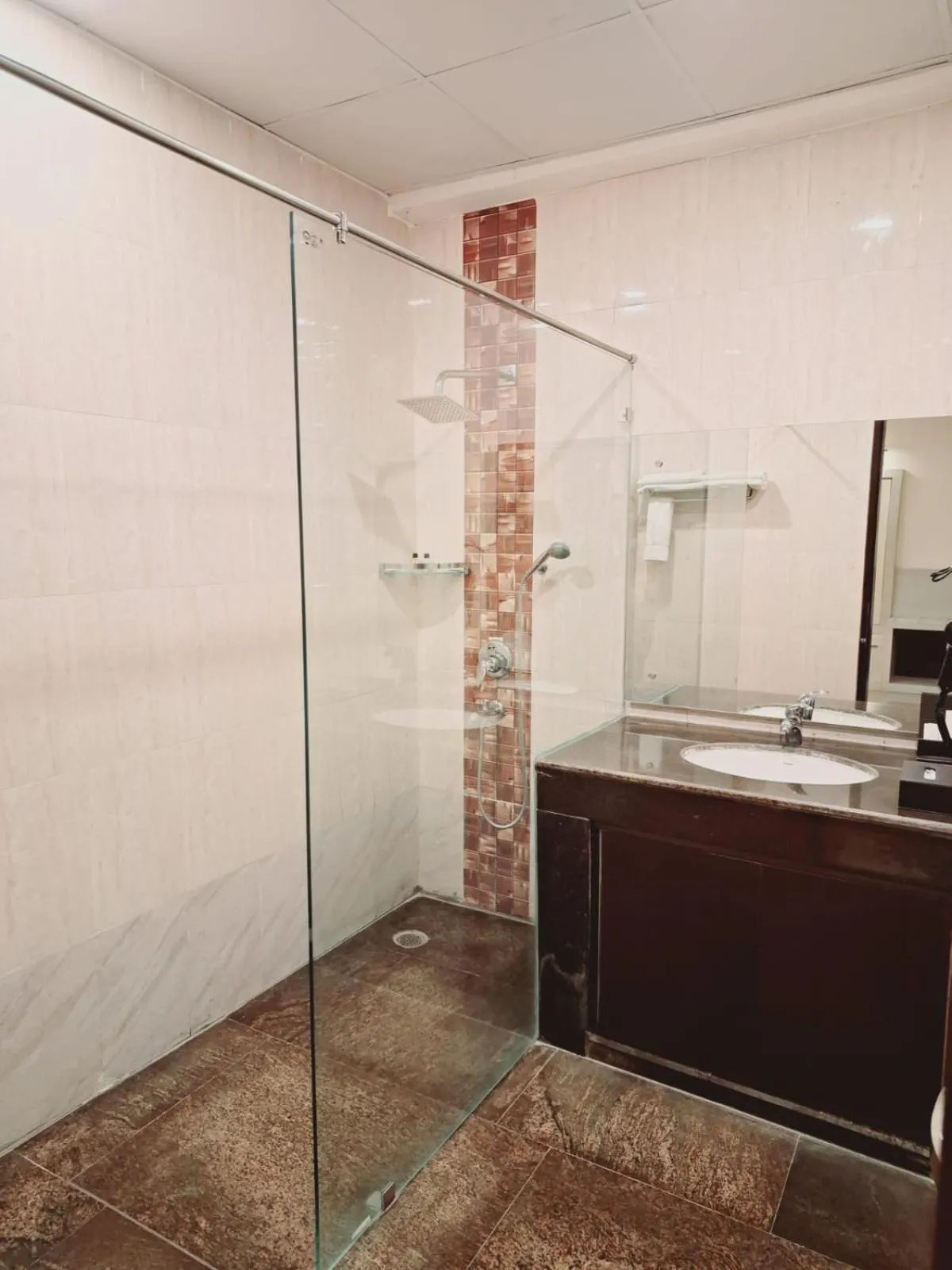 Shower in The Fern Residency, Bodhgaya, Series by Marriott