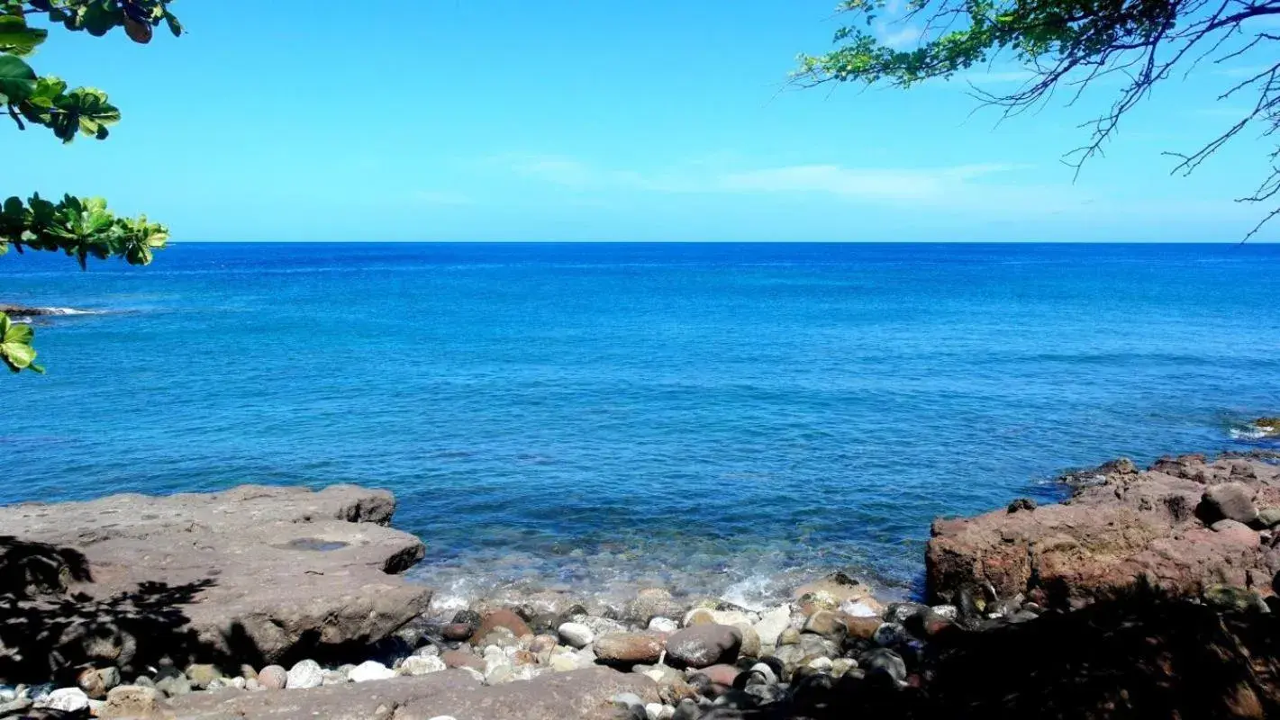 Paradise Bay Paradise Bay