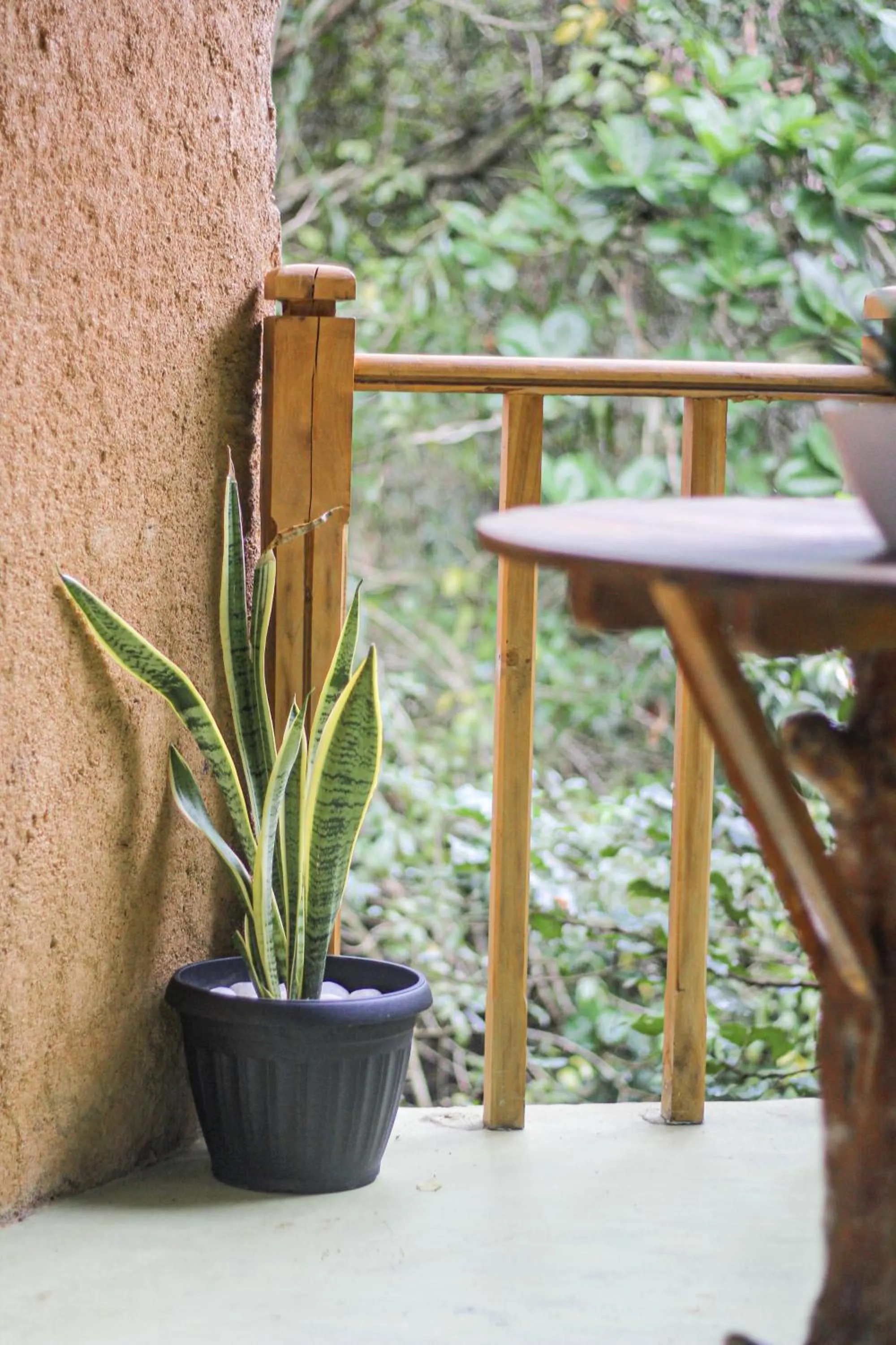 Balcony/Terrace in Seasons Four Mini Jungle Cabana