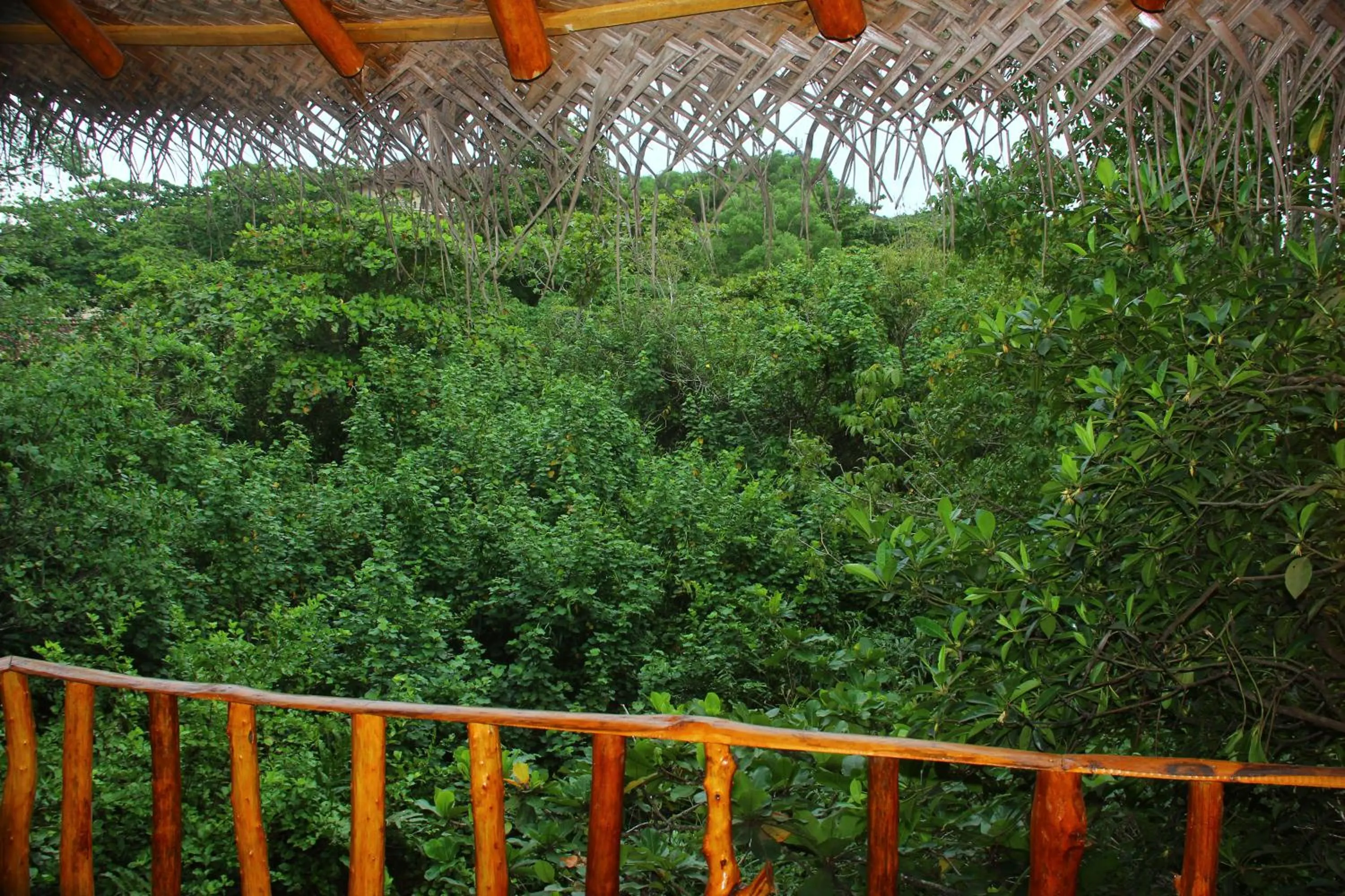 View (from property/room) in Seasons Four Mini Jungle Cabana