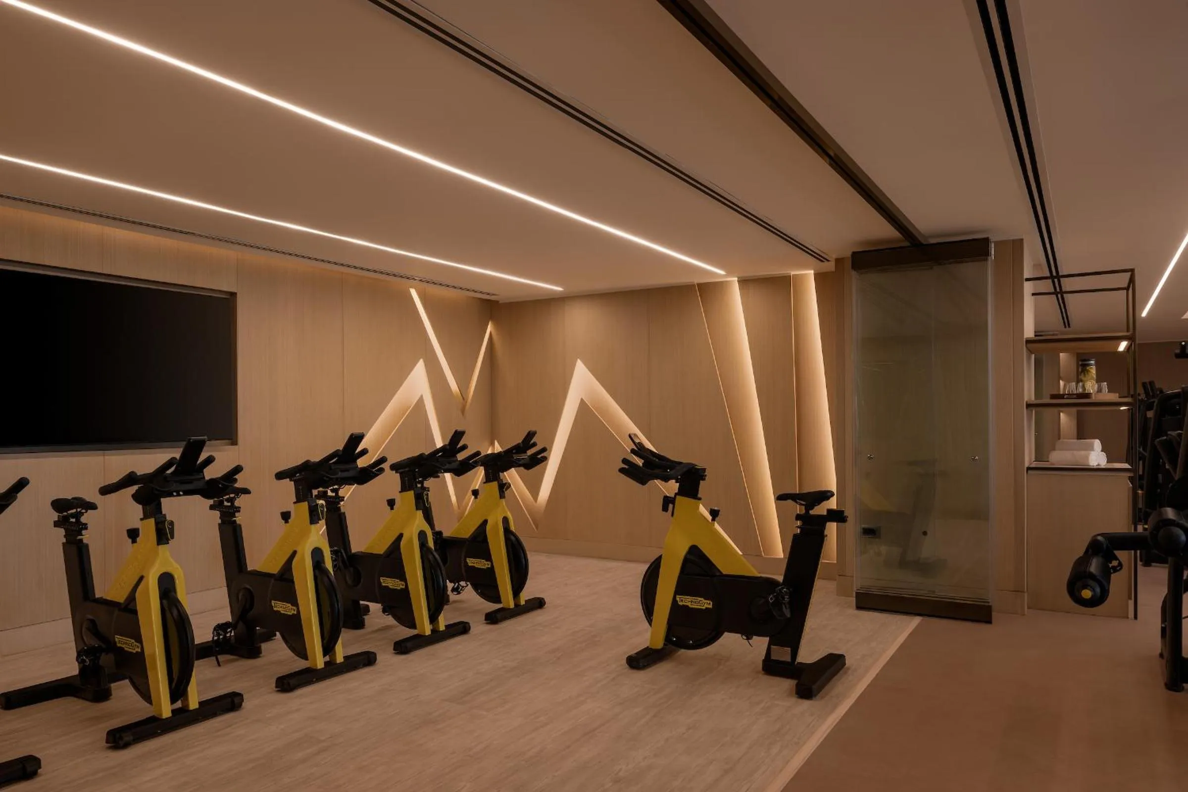 Fitness centre/facilities in Giza Palace Hotel & Spa - The Leading Hotels Of The World