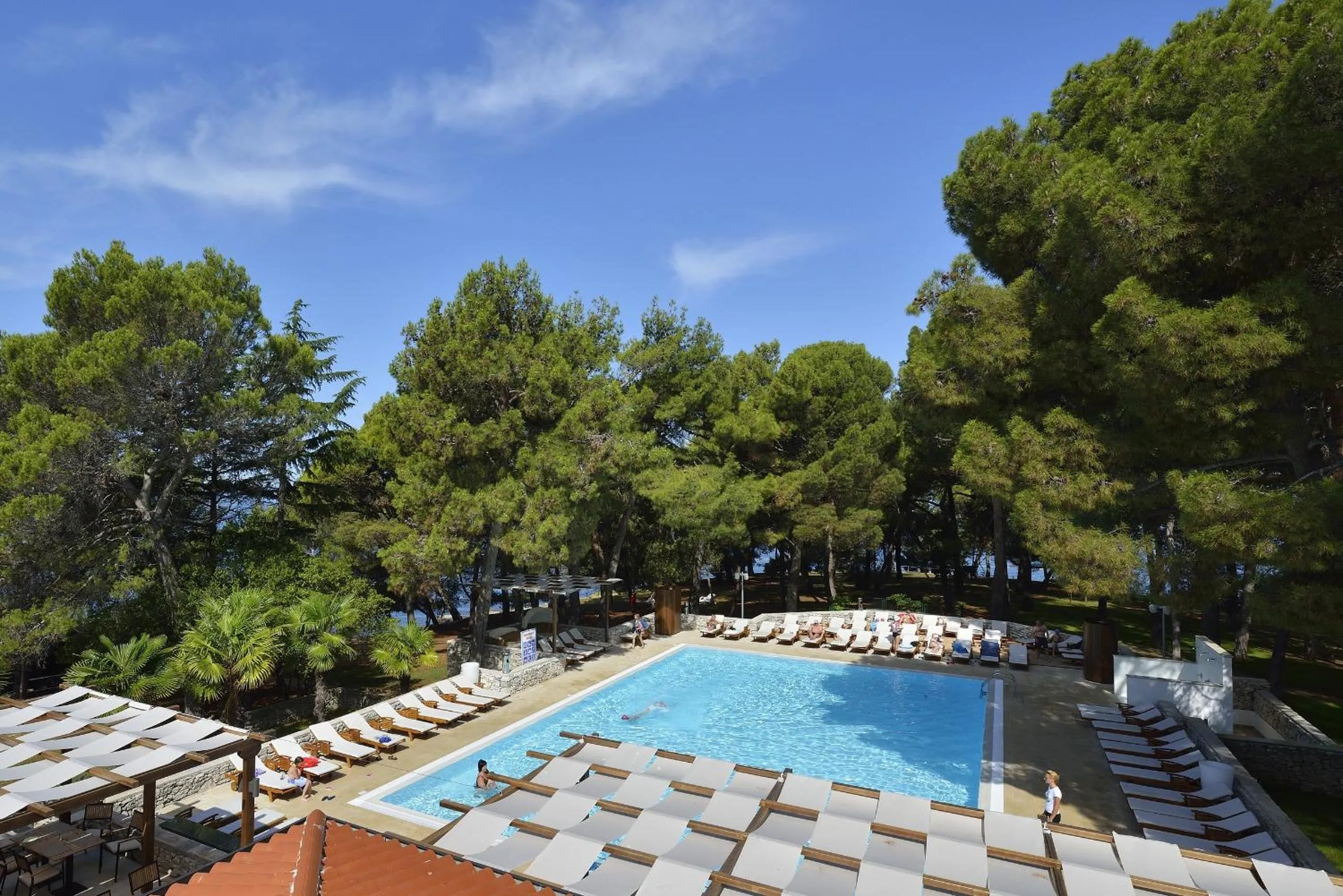 Swimming pool in Apartments Galijot Plava Laguna