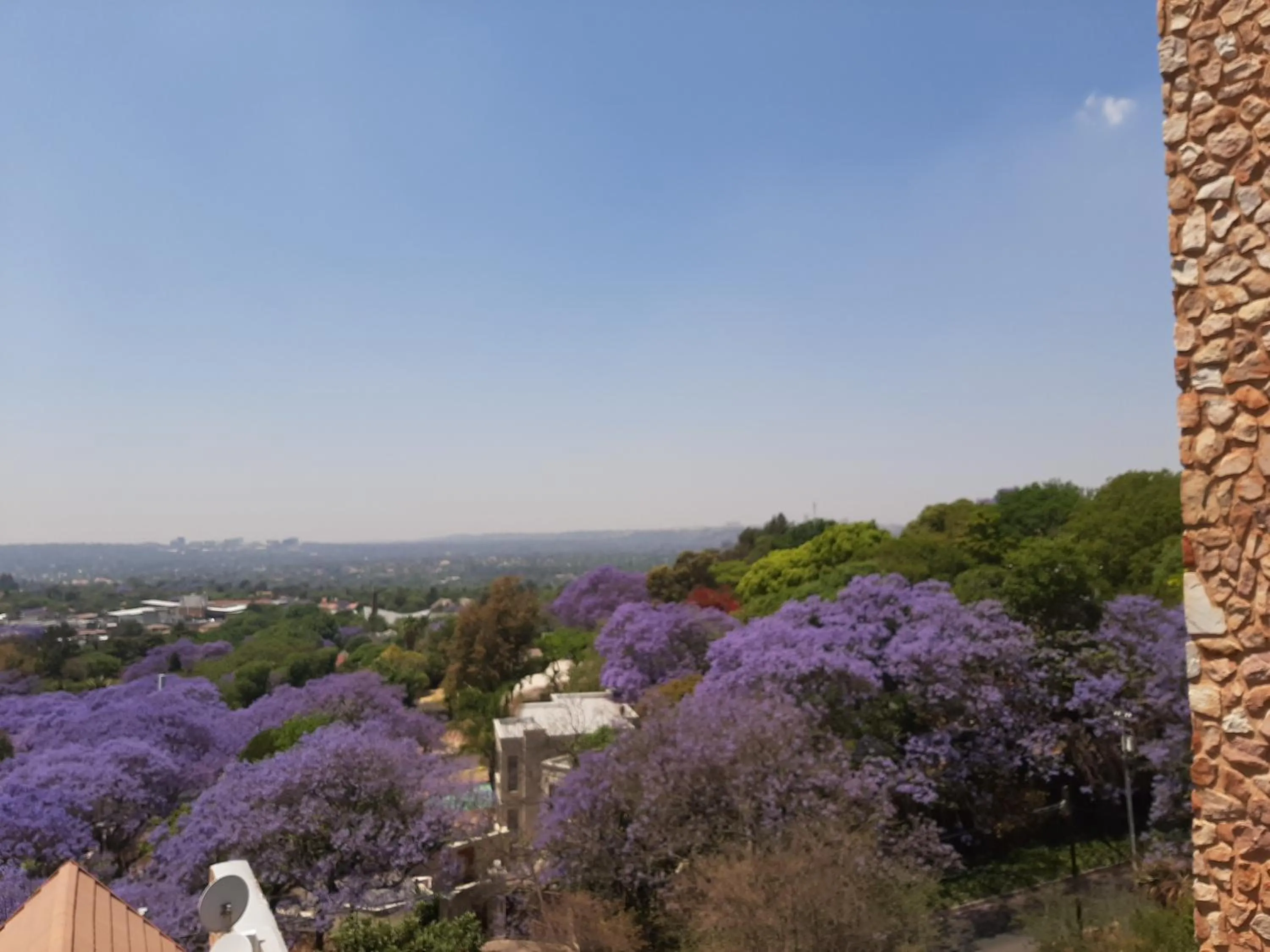 City view in Orangerie Guest House