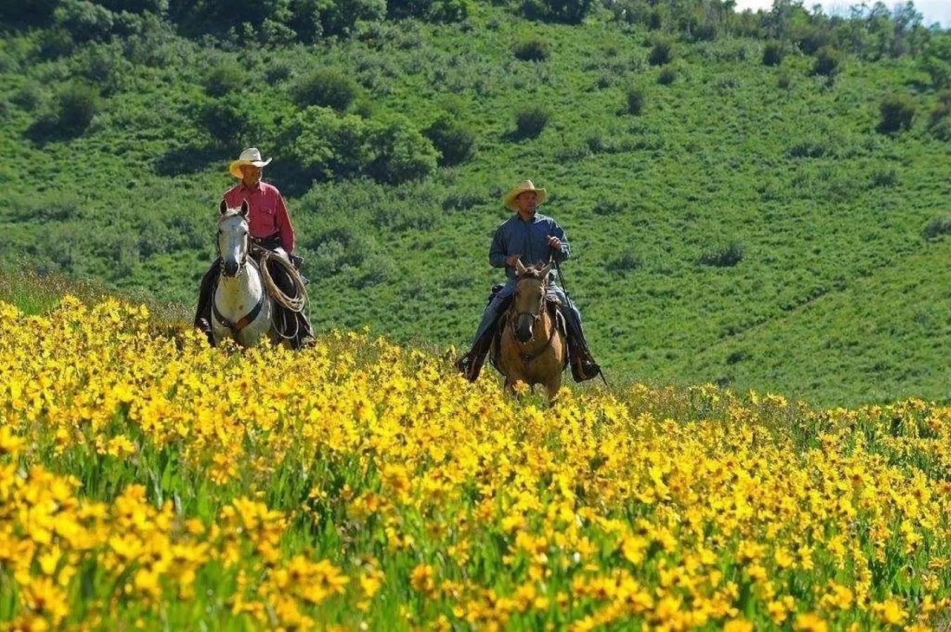 Horse-riding in Western Lodge