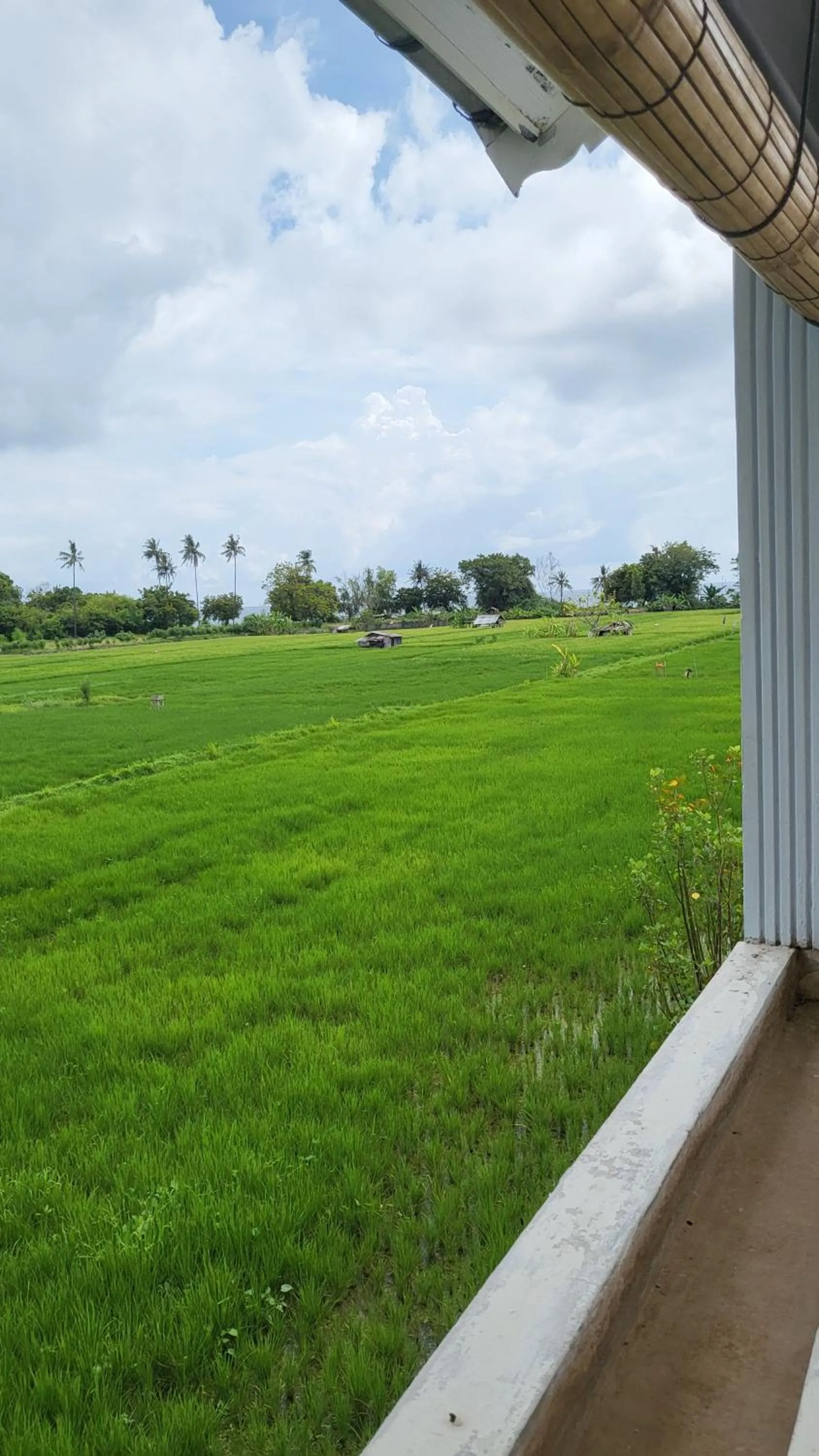 Garden in Kartika Villas